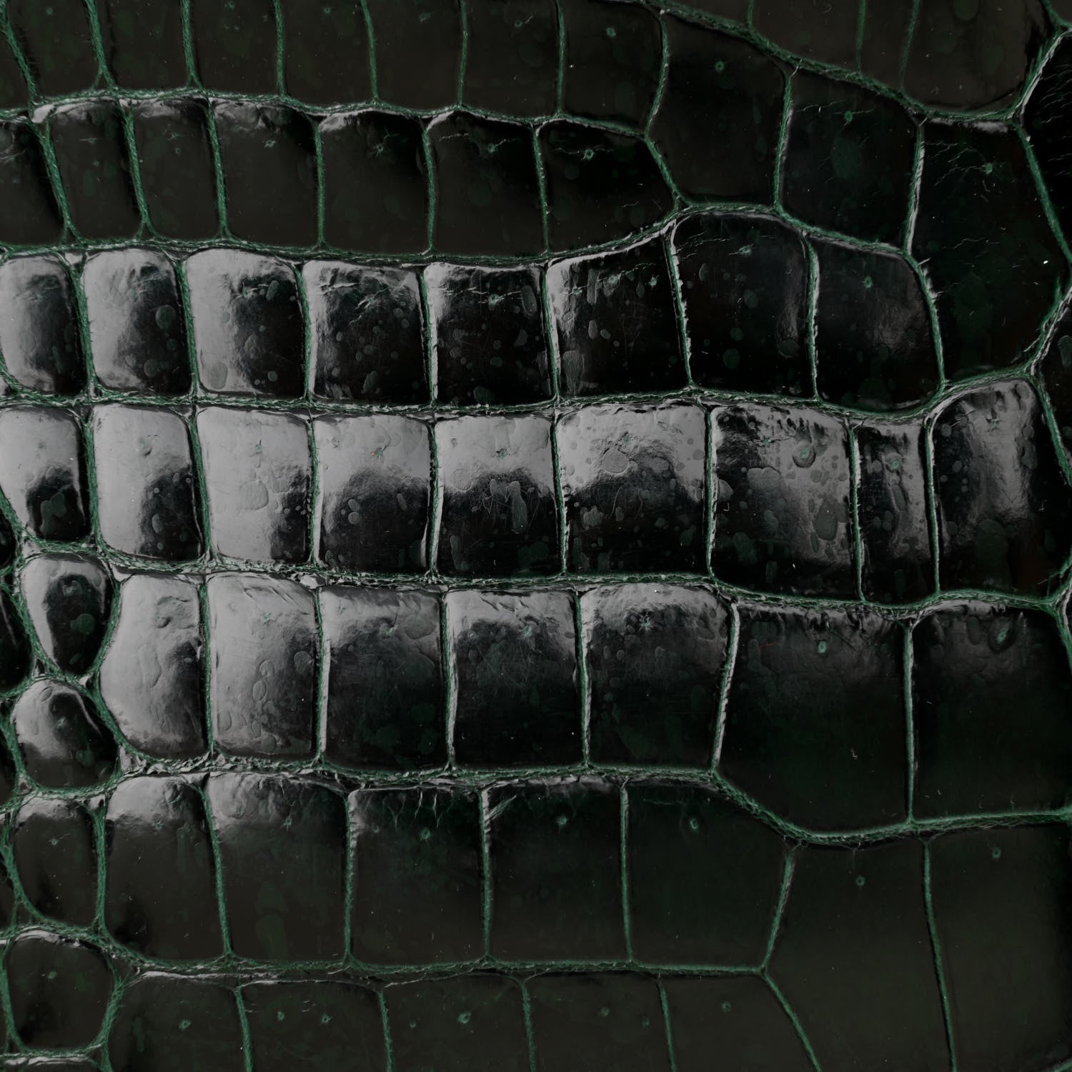 Hermes Shiny Porosus Crocodile Birkin 30 Vert Fonce 12 of 13