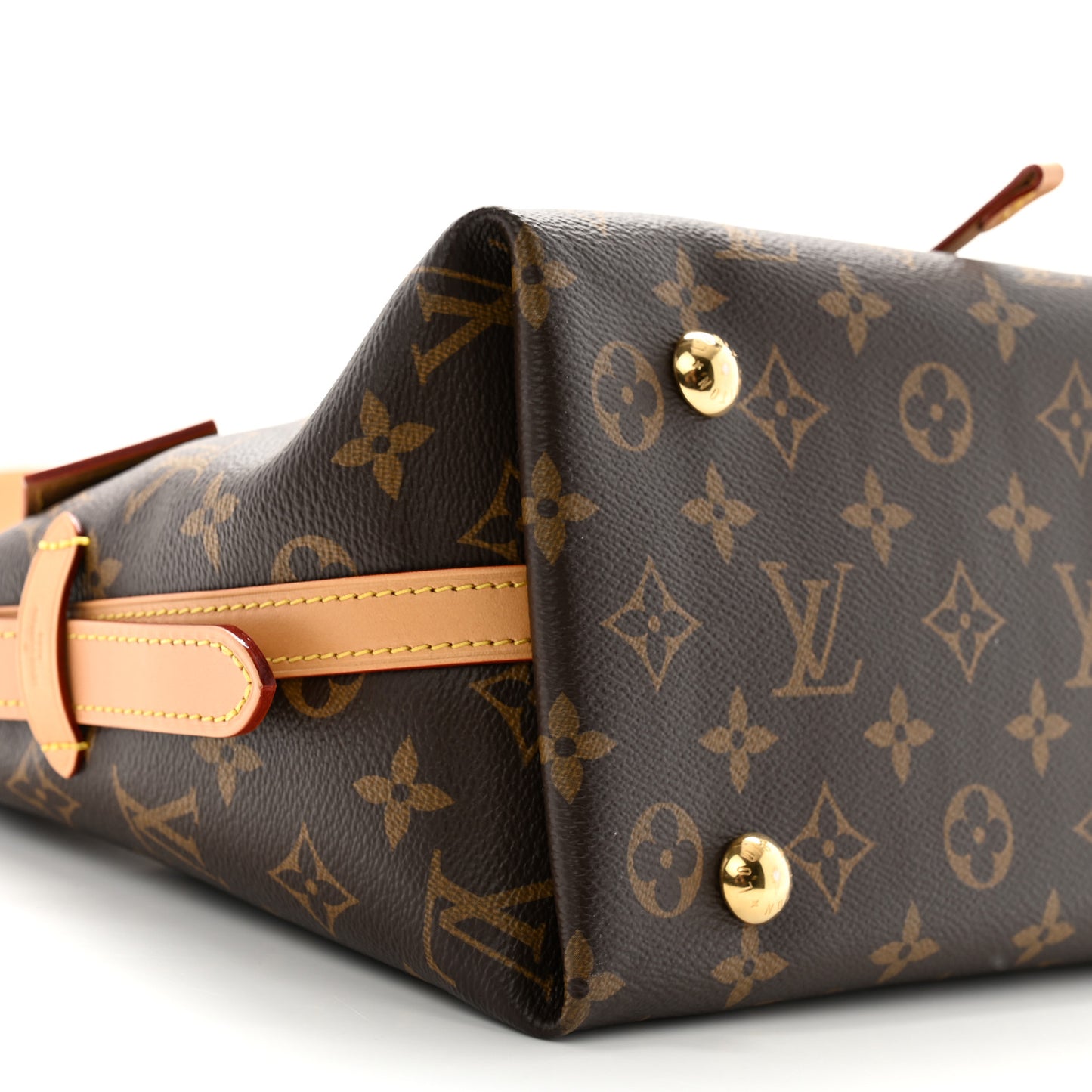Monogram CarryAll PM