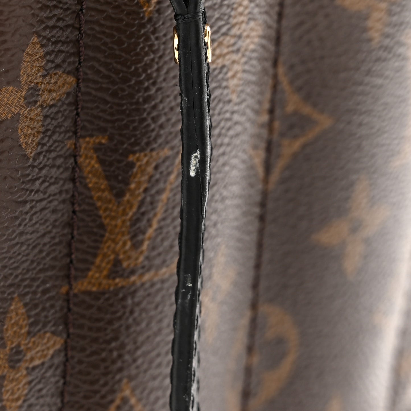 Monogram Palm Springs Backpack Mini