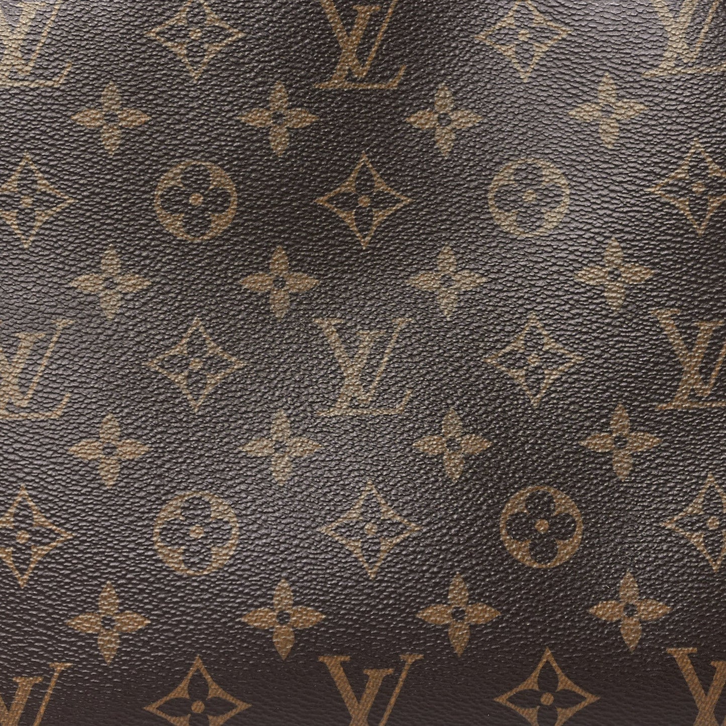 Monogram Petit Palais