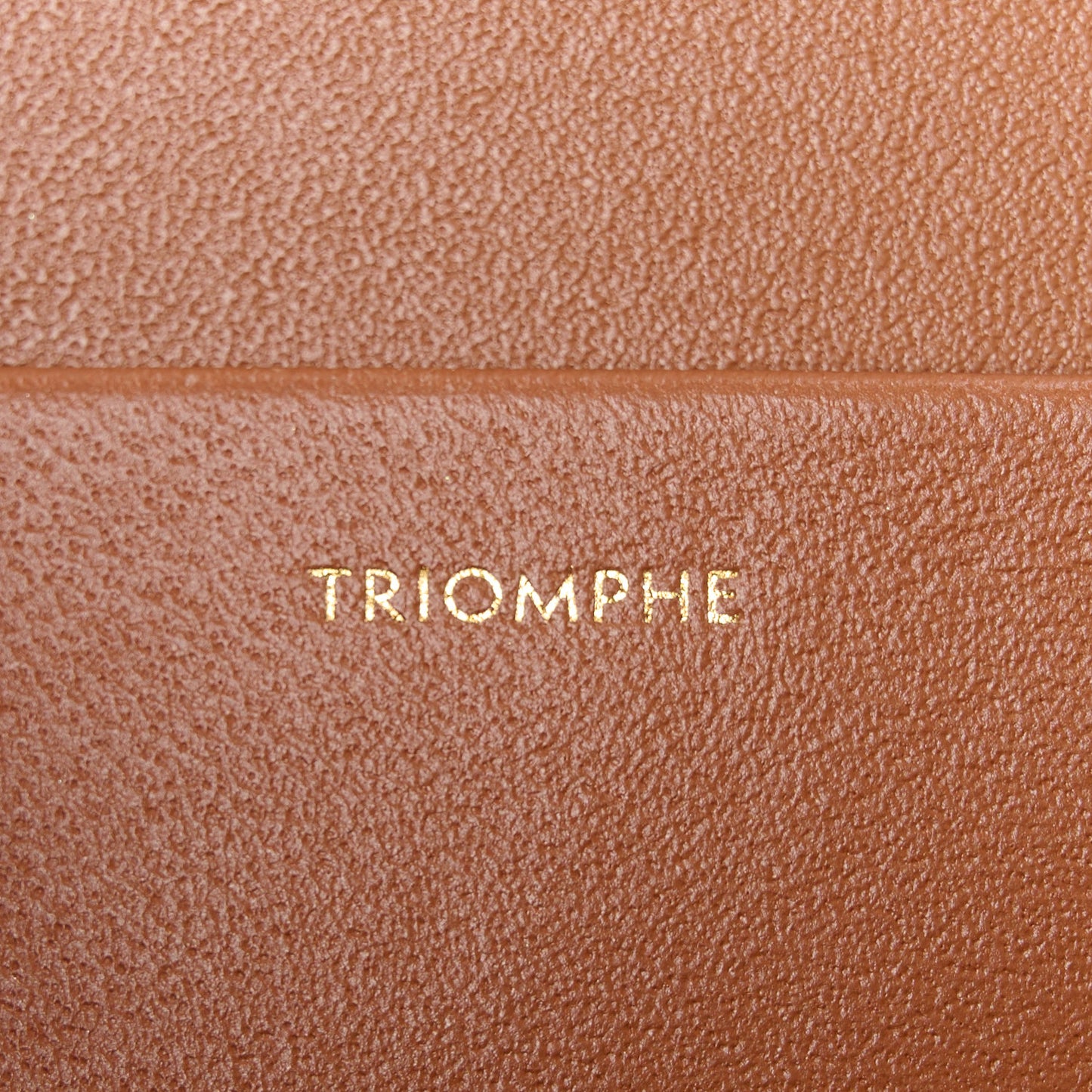 Triomphe Canvas Calfskin Medium Triomphe Bag Tan