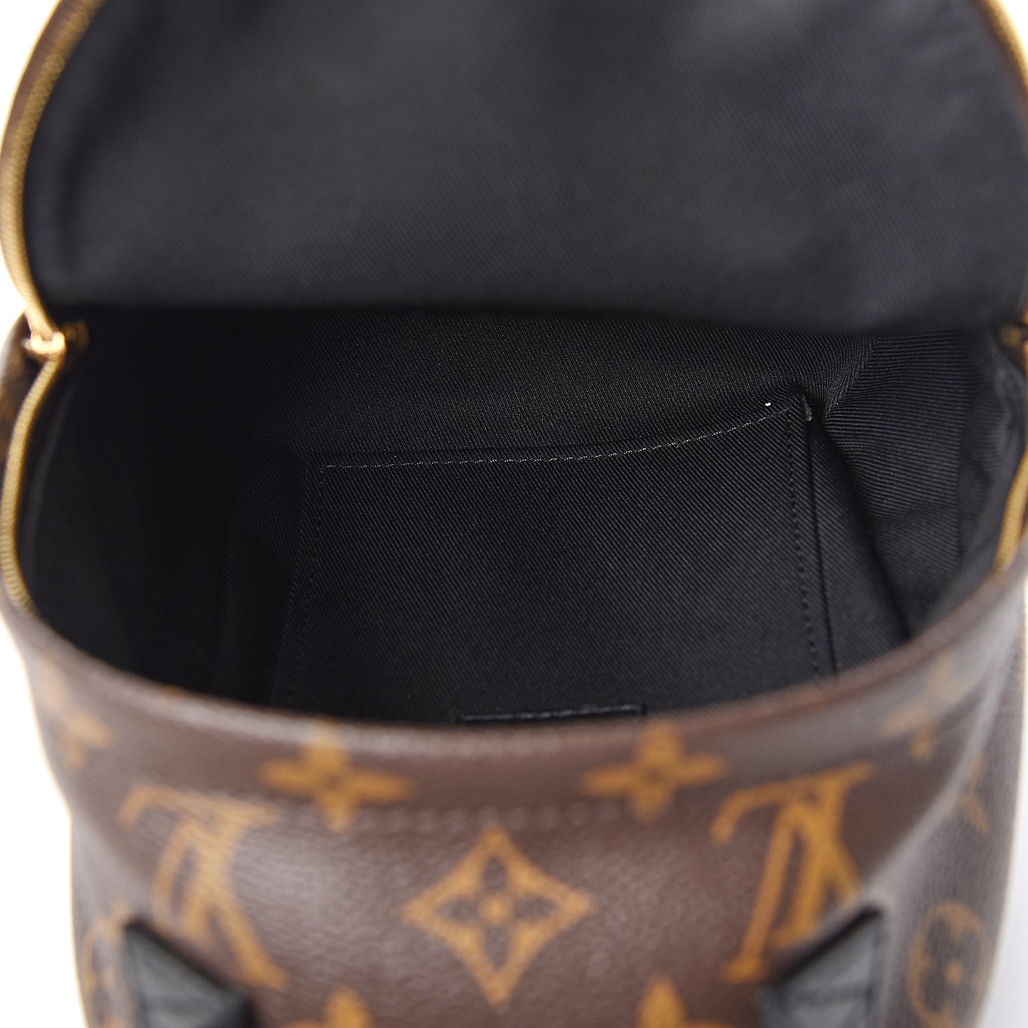 Monogram Palm Springs Backpack Mini