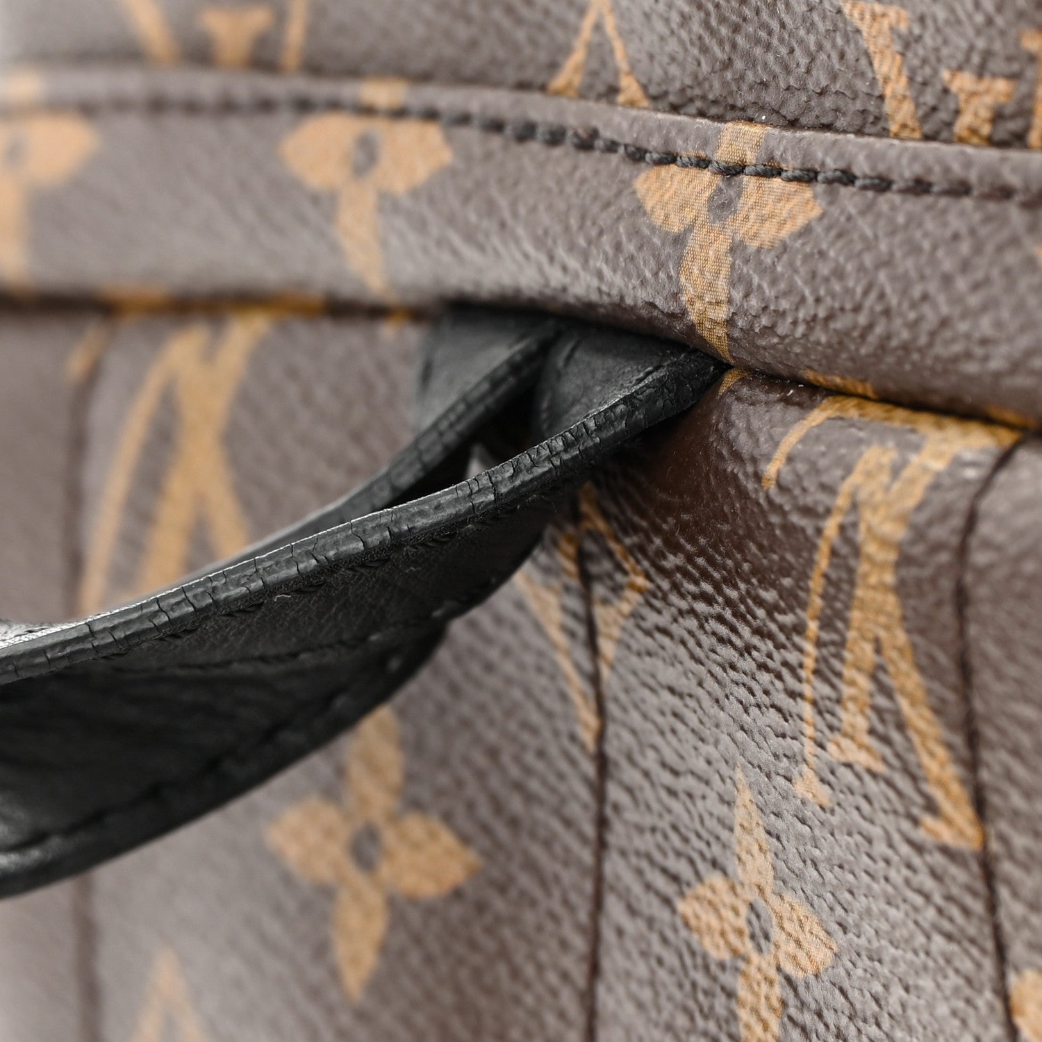 Louis Vuitton Monogram Palm Springs Backpack PM 11 of 16