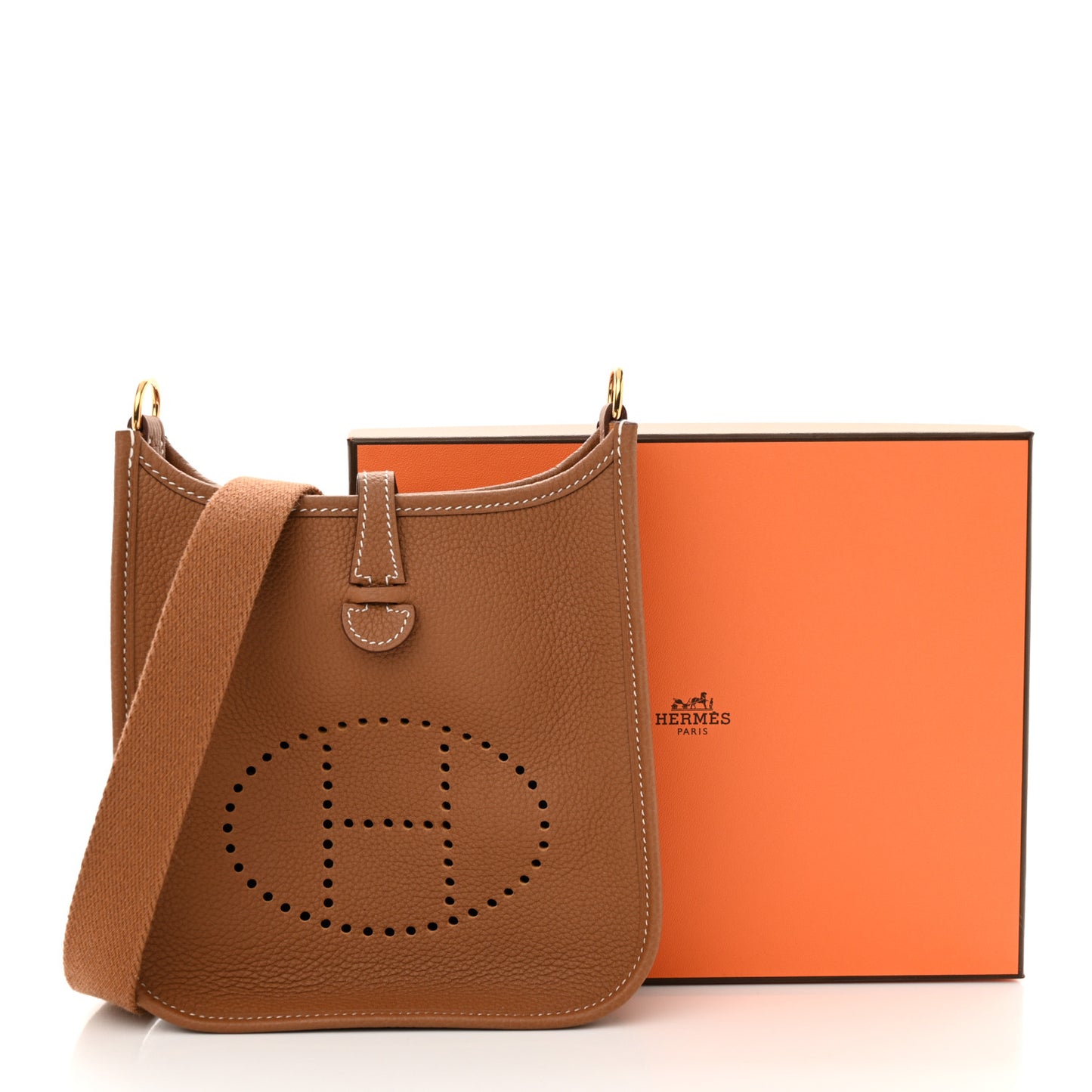 Taurillon Maurice Evelyne TPM Gold