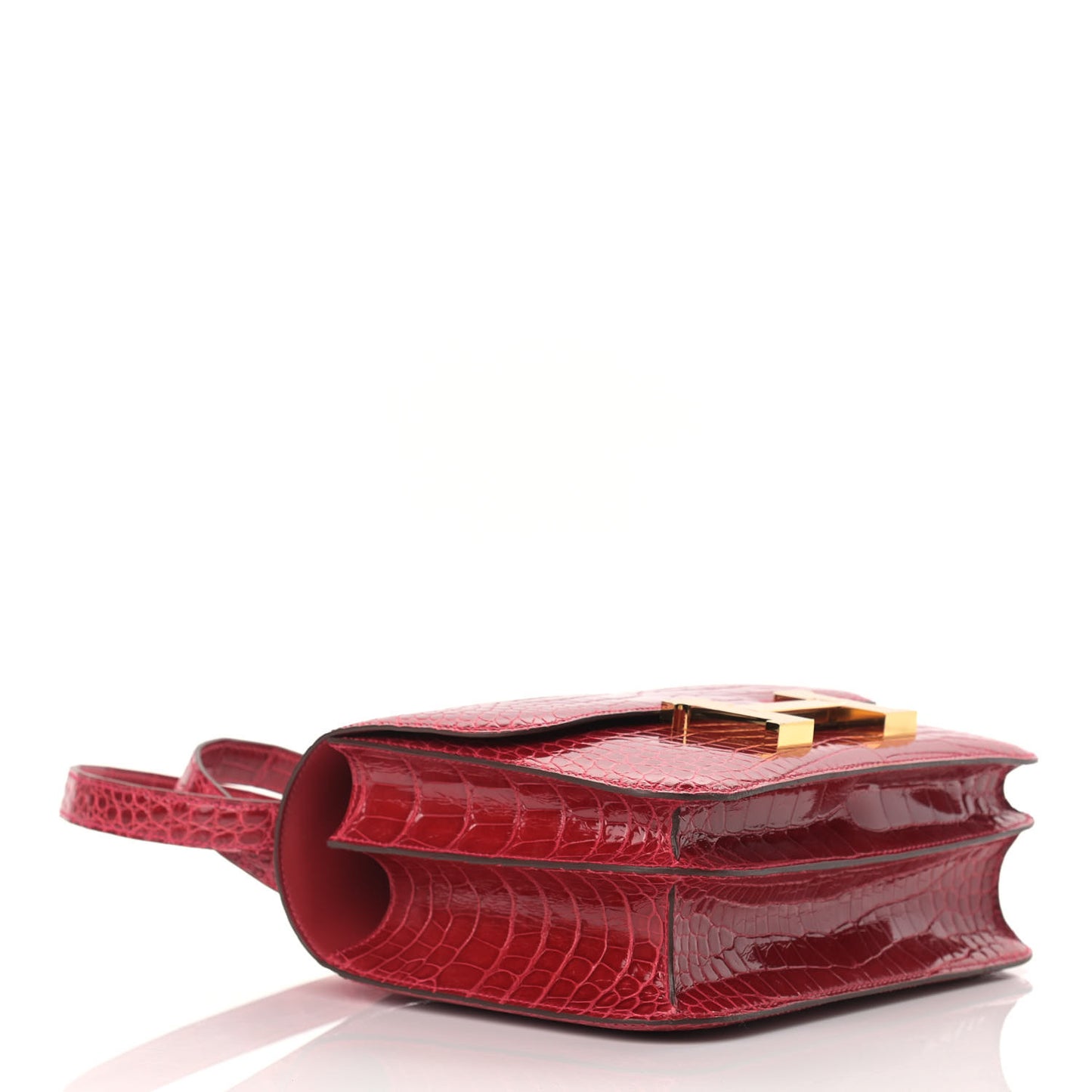 Shiny Alligator Constance 24 Braise