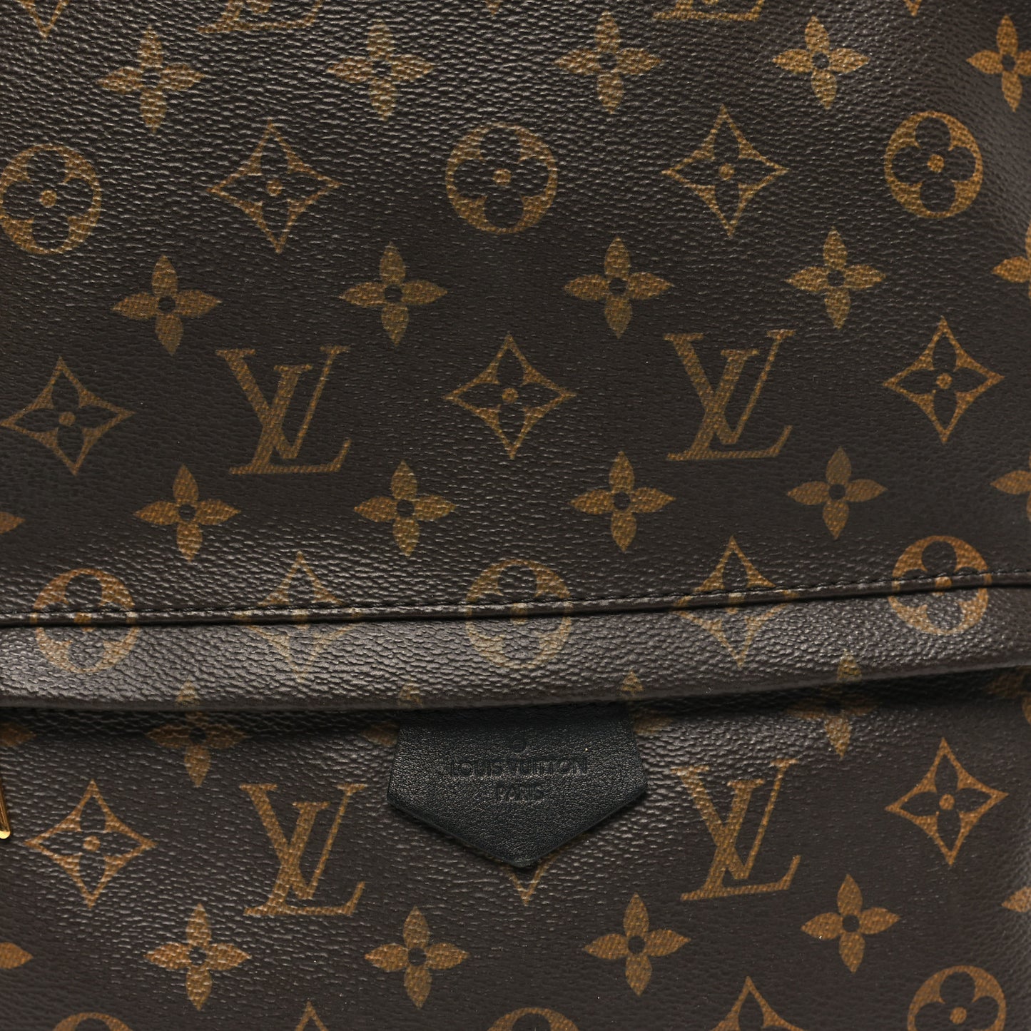 Monogram Palm Springs Backpack MM