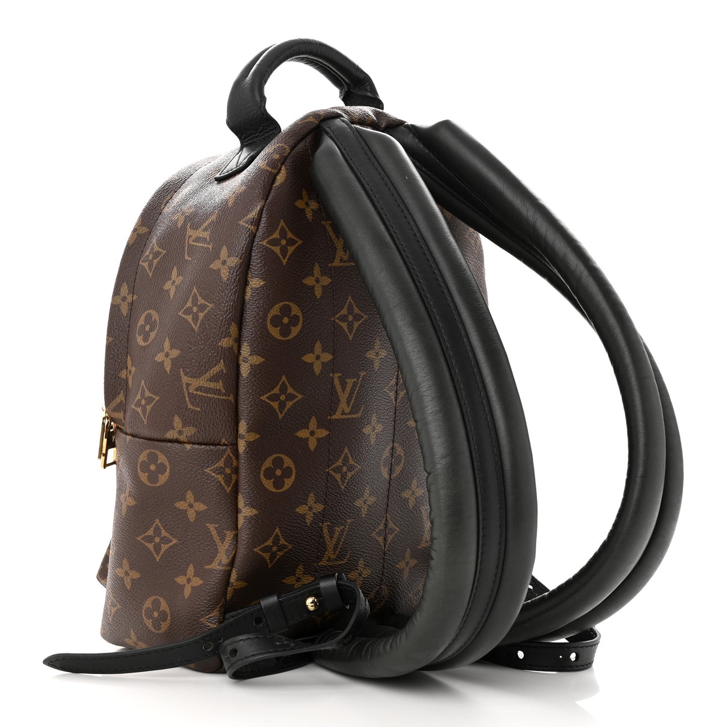 Monogram Palm Springs Backpack PM