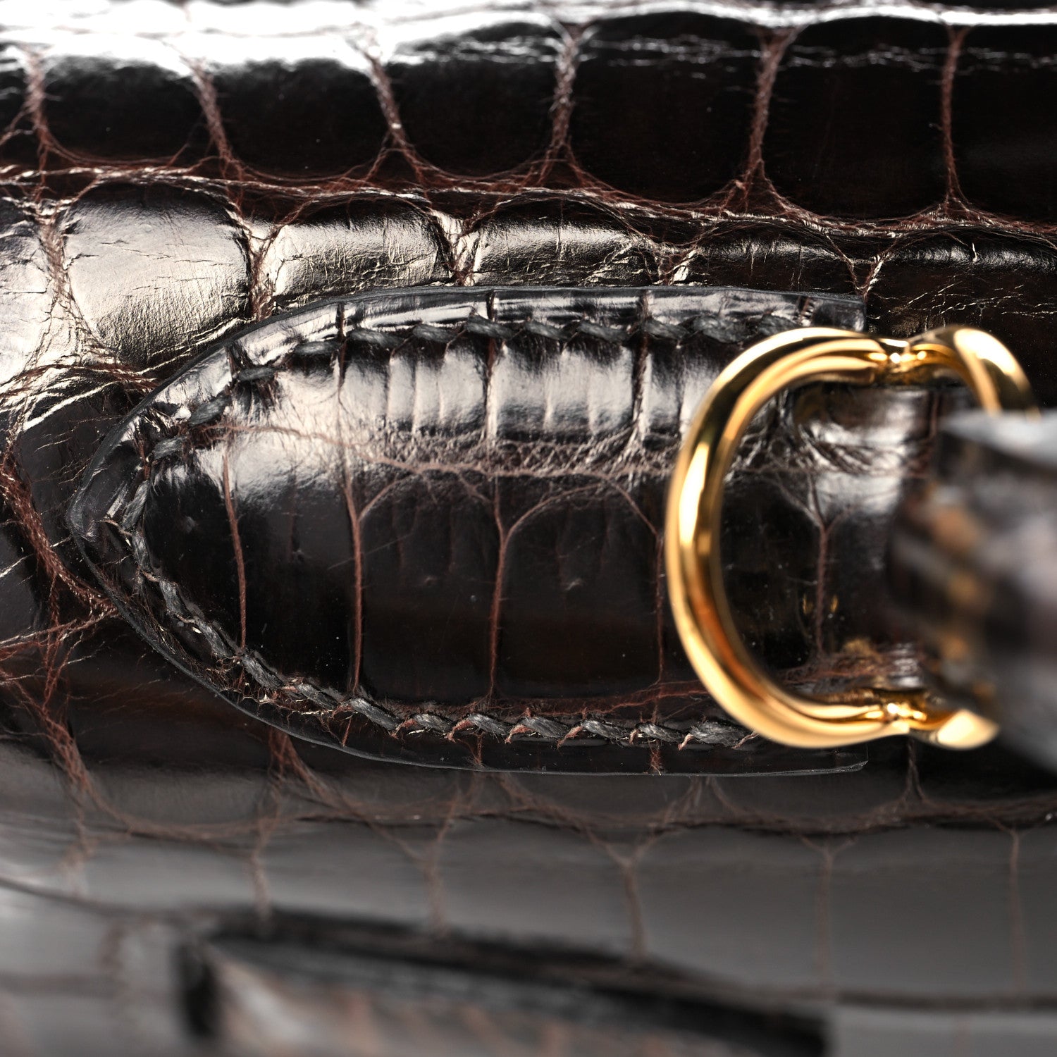 Hermes Shiny Niloticus Crocodile Kelly Sellier 28 Macassar 13 of 38