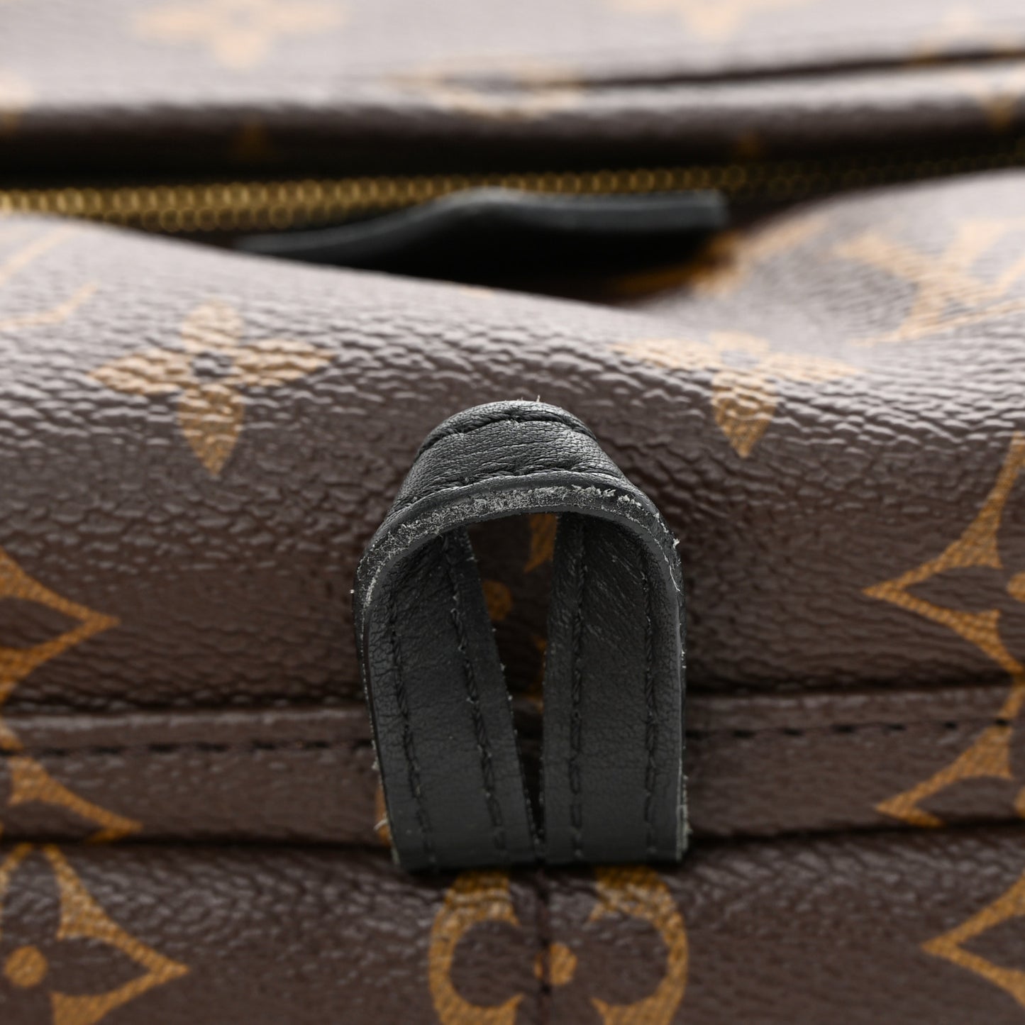 Monogram Palm Springs Backpack Mini