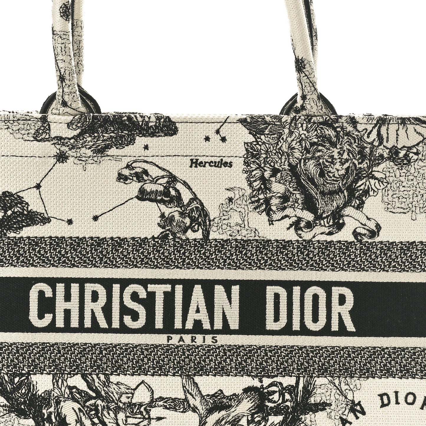 Canvas Zodiac Toile De Jouy Embroidered Medium Book Tote Latte
