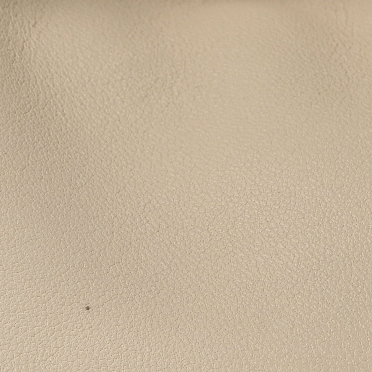 Loewe Buttery Nappa Lambskin Small Squeeze Bag Sea Salt 8 of 11