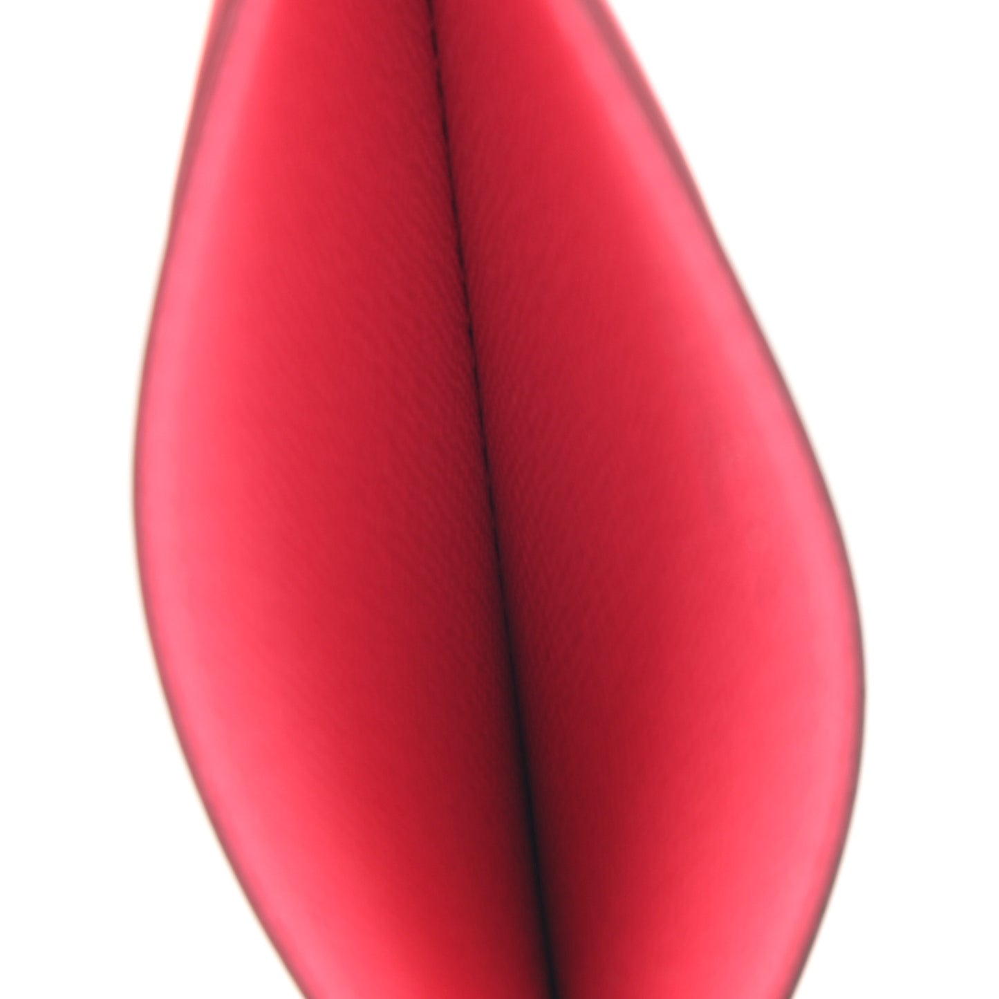 Epi Card Holder Dragon Fruit