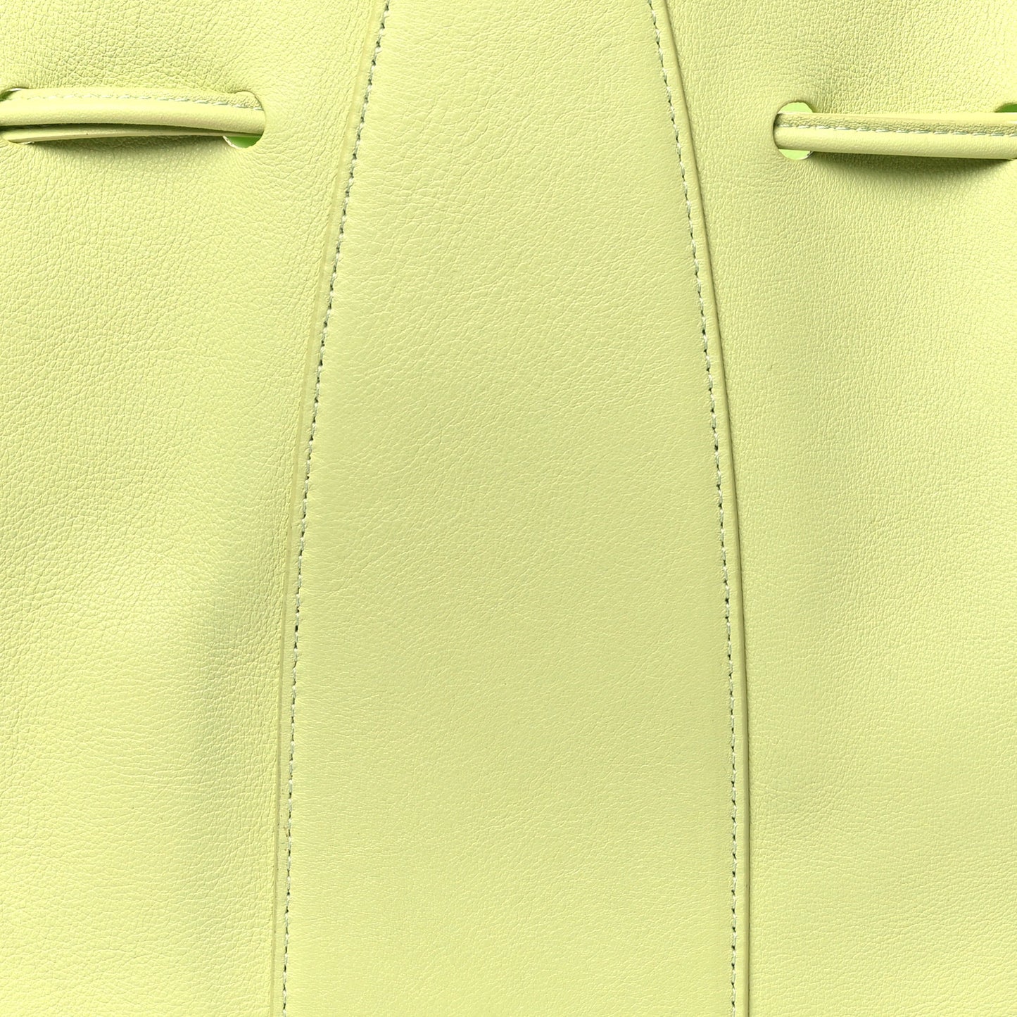 Tumbled Calfskin Lilium Bag Mint