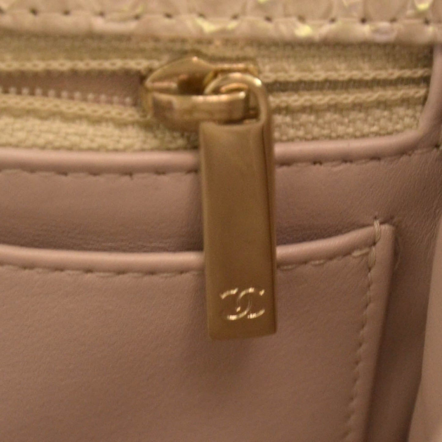 Iridescent Python Mini Flap