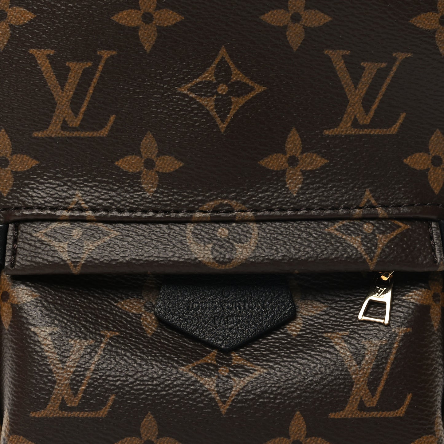 Monogram Palm Springs Backpack Mini