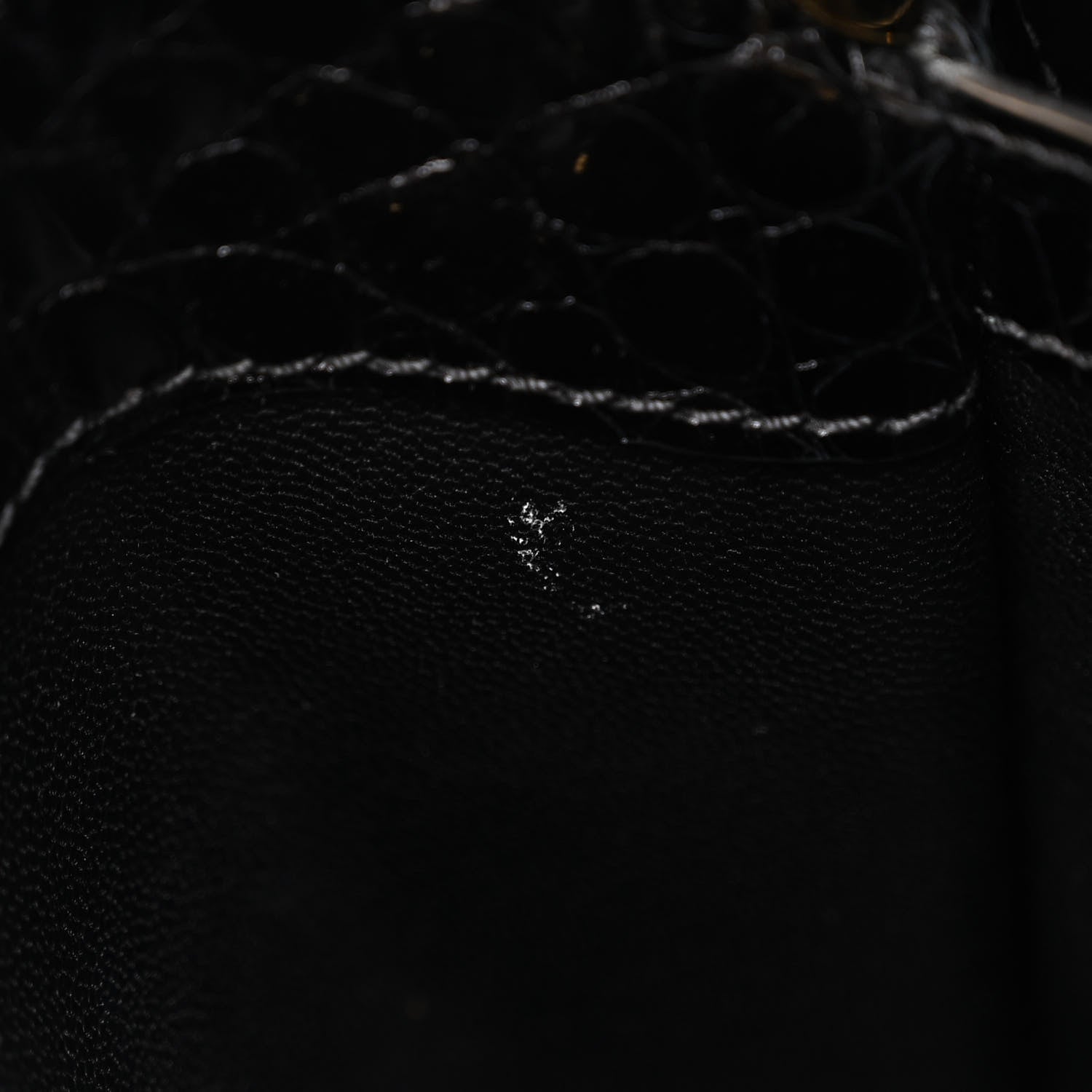 Louis Vuitton Brilliant Alligator Capucines BB Black 11 of 11