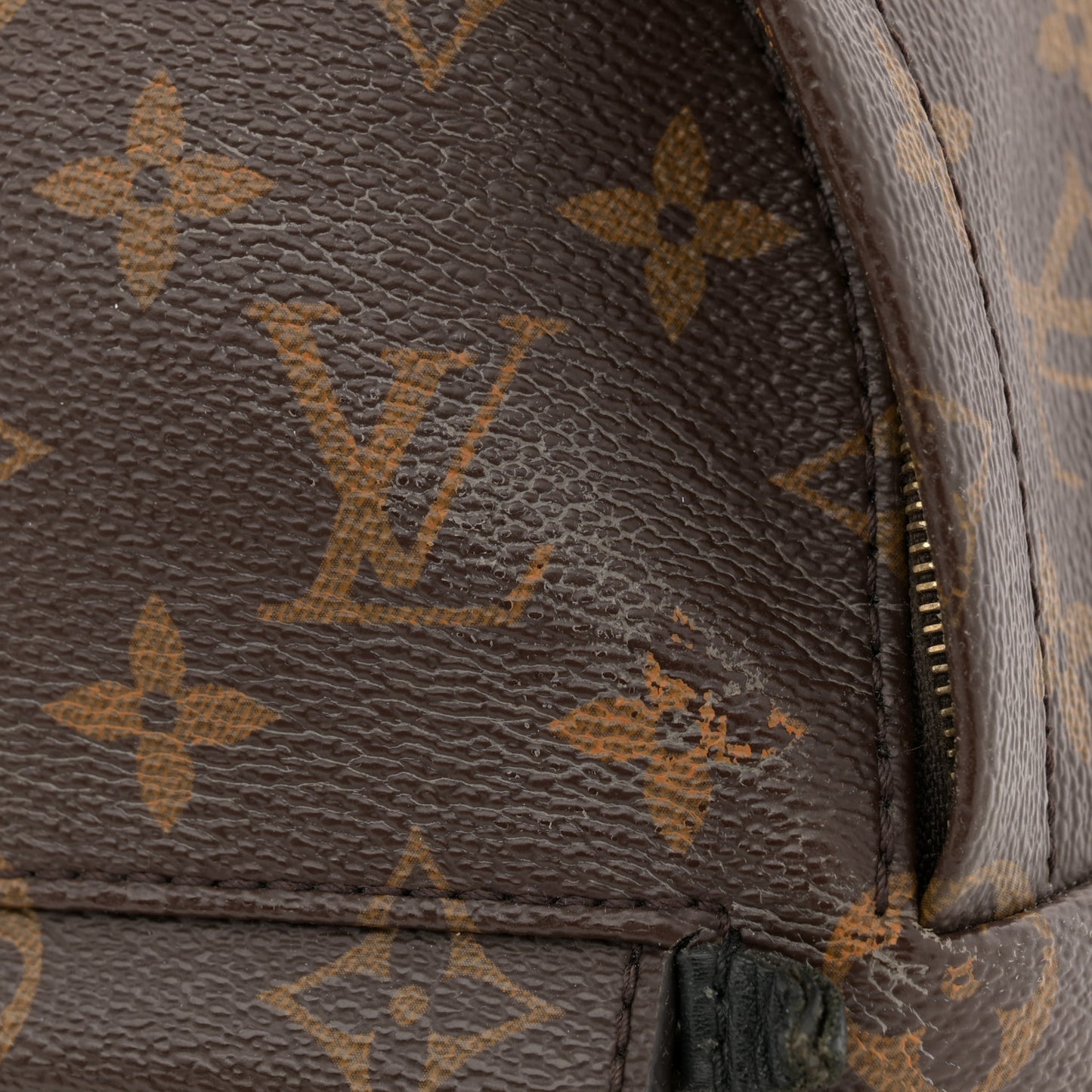 Monogram Palm Springs Backpack Mini