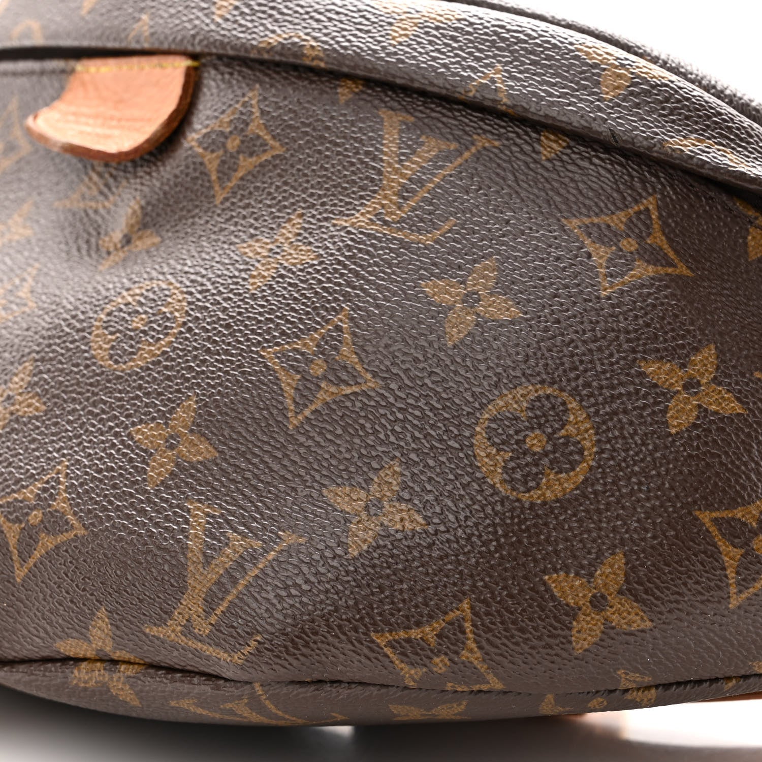 Louis Vuitton Monogram Bumbag 9 of 10