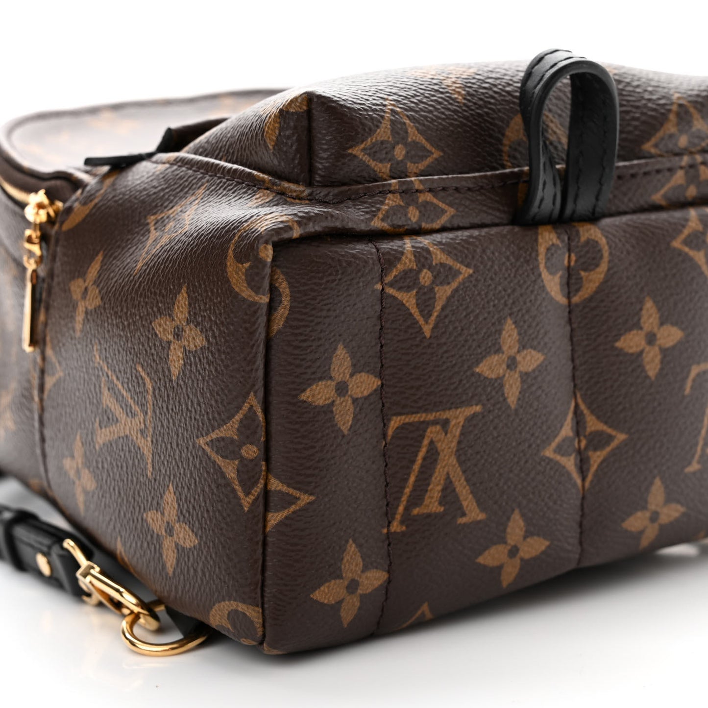 Monogram Palm Springs Backpack Mini