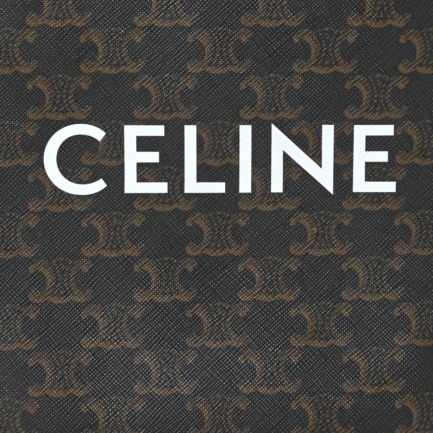 Triomphe Canvas Calfskin Mini Vertical Cabas Tan