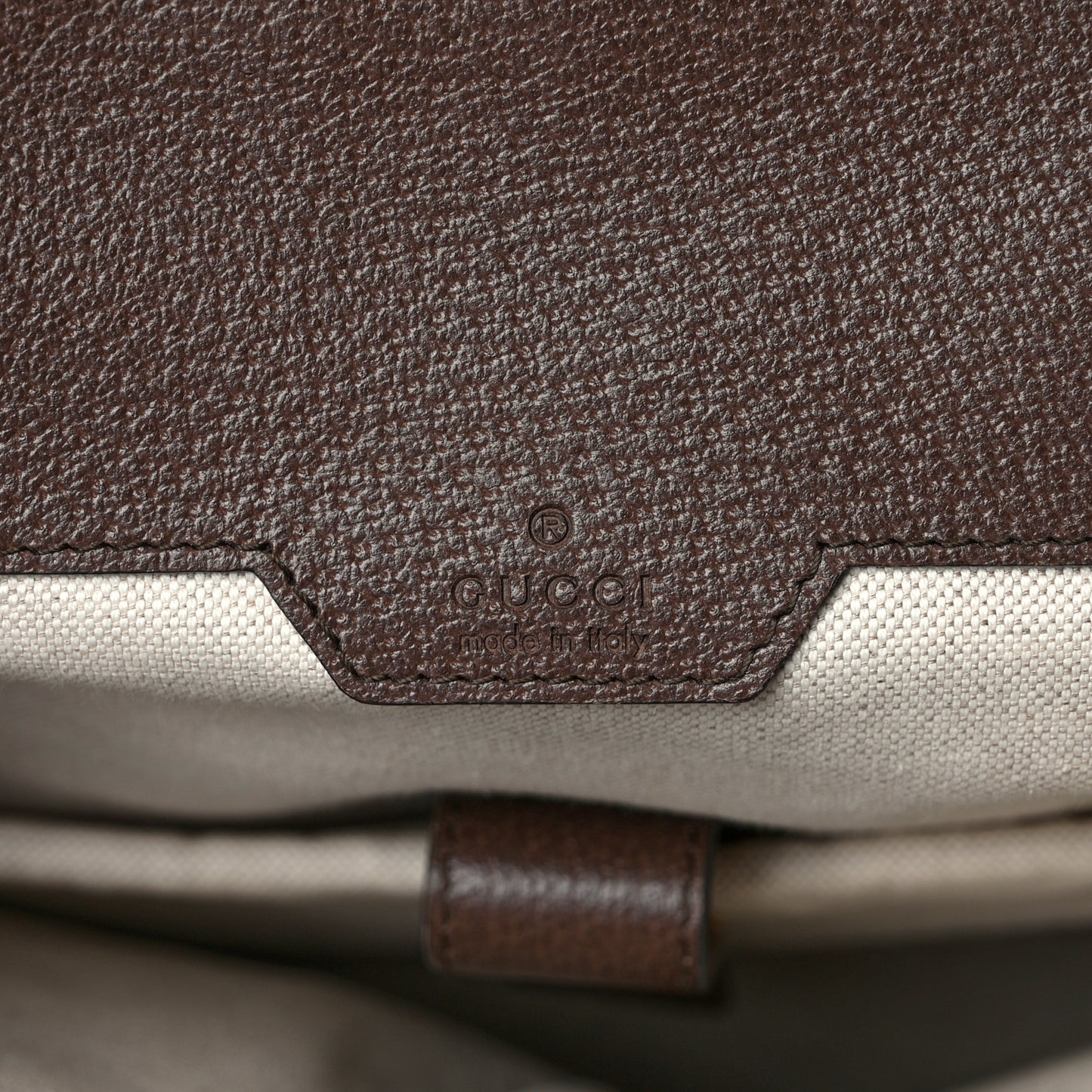 Monogram Jumbo GG Textured Dollar Calfskin Web Double Buckle Backpack Camel Ebony New Acero