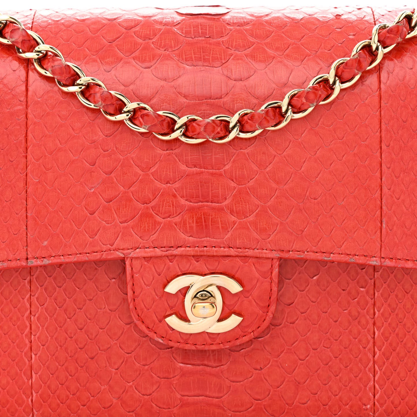 Snakeskin Medium Double Flap Red