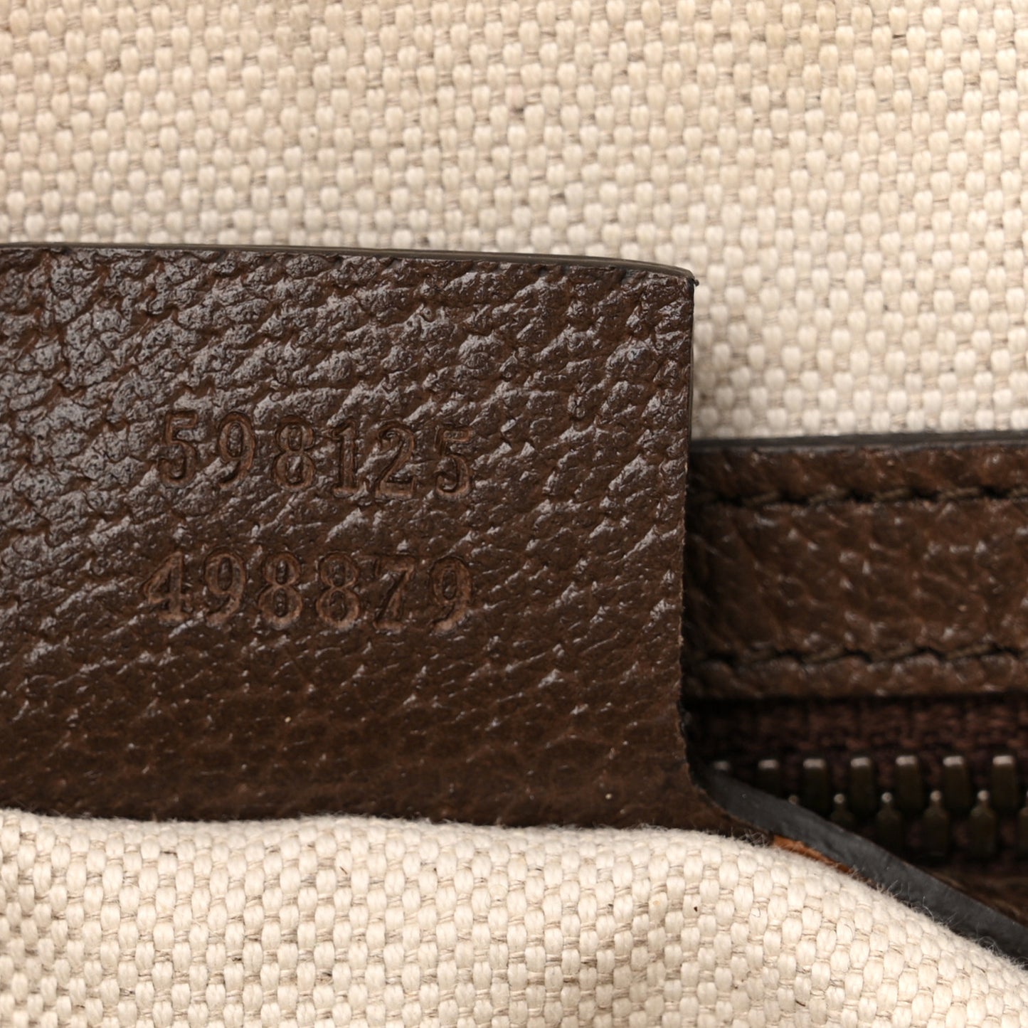 GG Supreme Monogram Web Small Ophidia Half Moon Hobo Brown