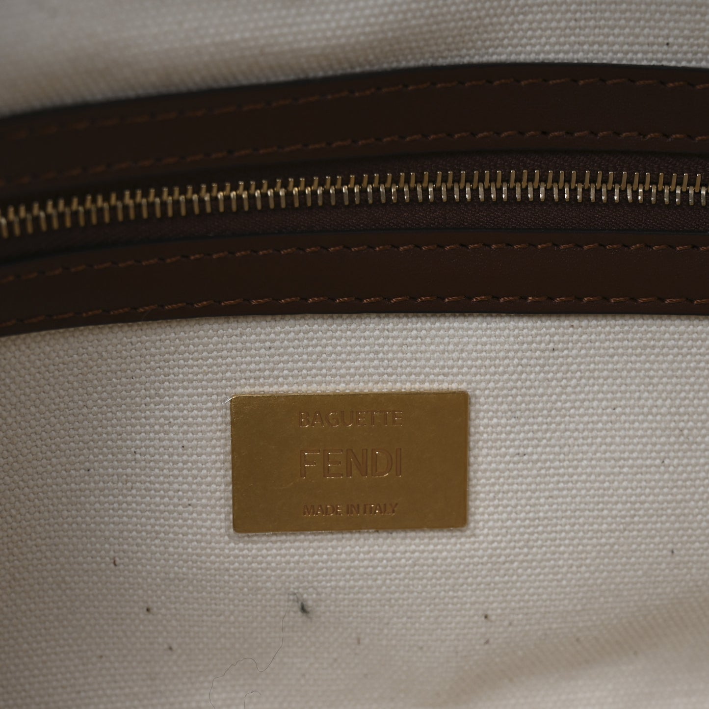 X SARA COLEMAN Canvas Vitello King Seta FF Fish Eye Embroidered Baguette Grezzo Multicolor Ghianda