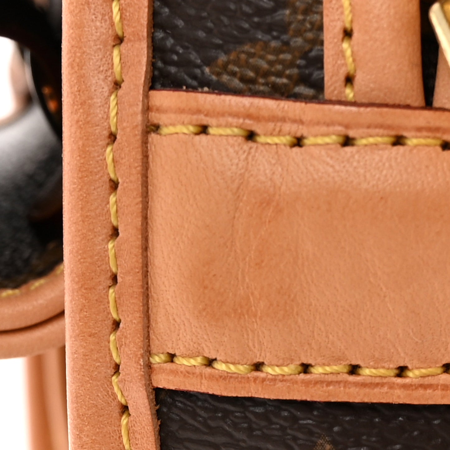 Monogram Sac Chien 40 Pet Carrier