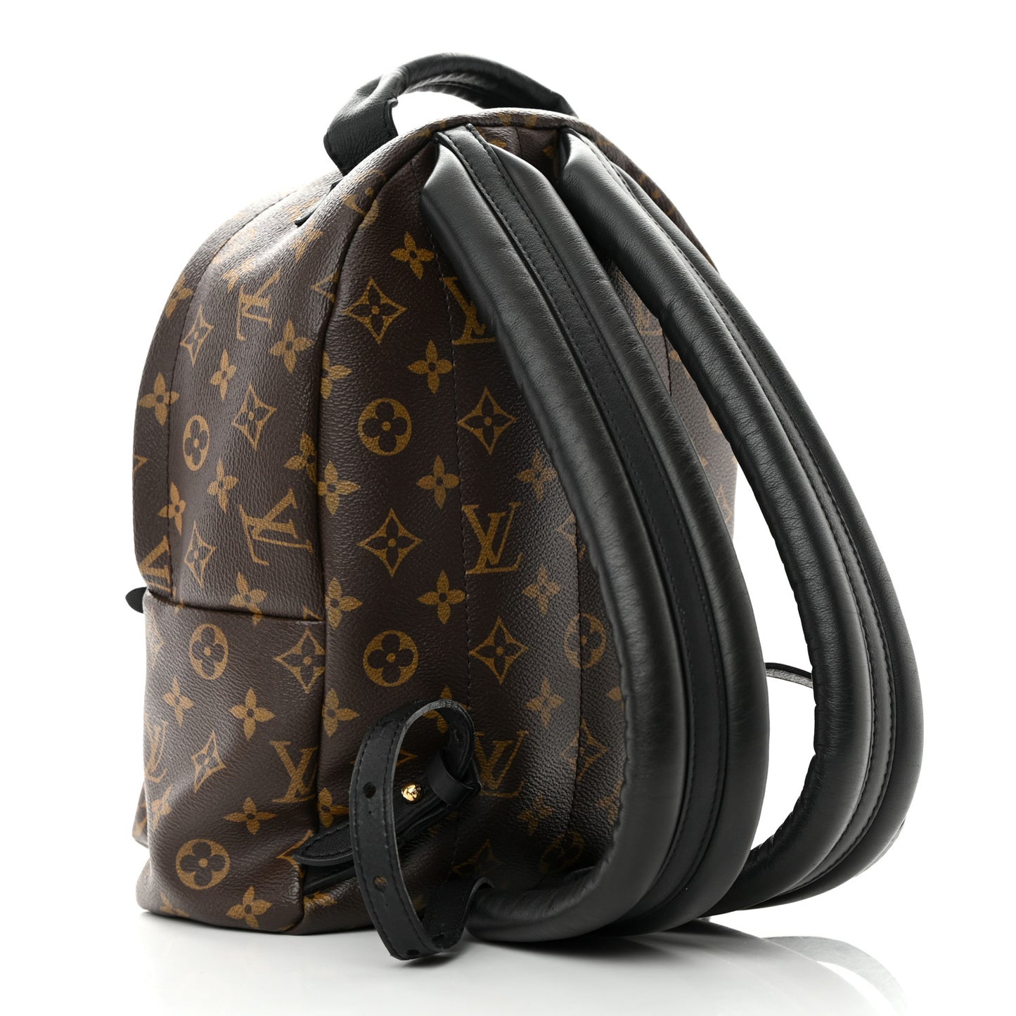 Monogram Palm Springs Backpack PM