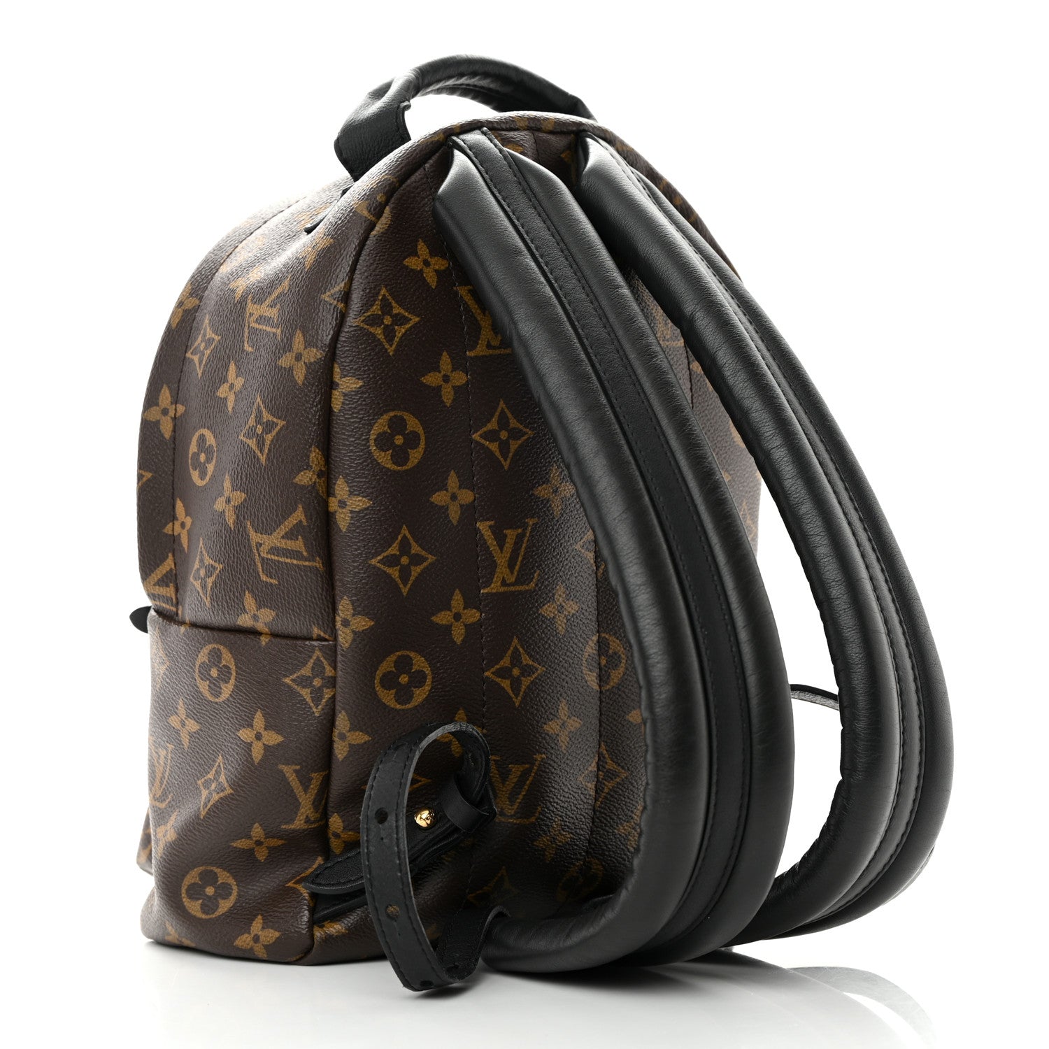 Louis Vuitton Monogram Palm Springs Backpack PM 3 of 16