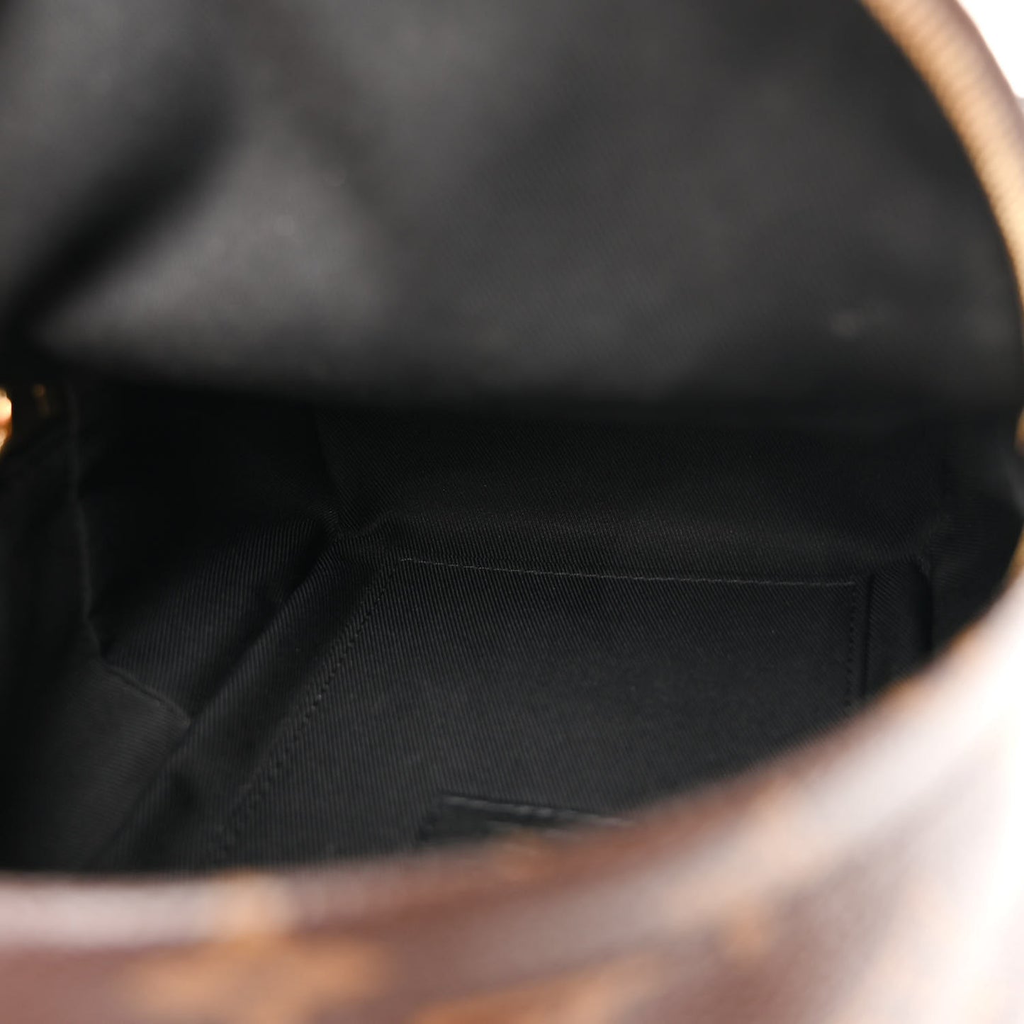 Monogram Palm Springs Backpack Mini