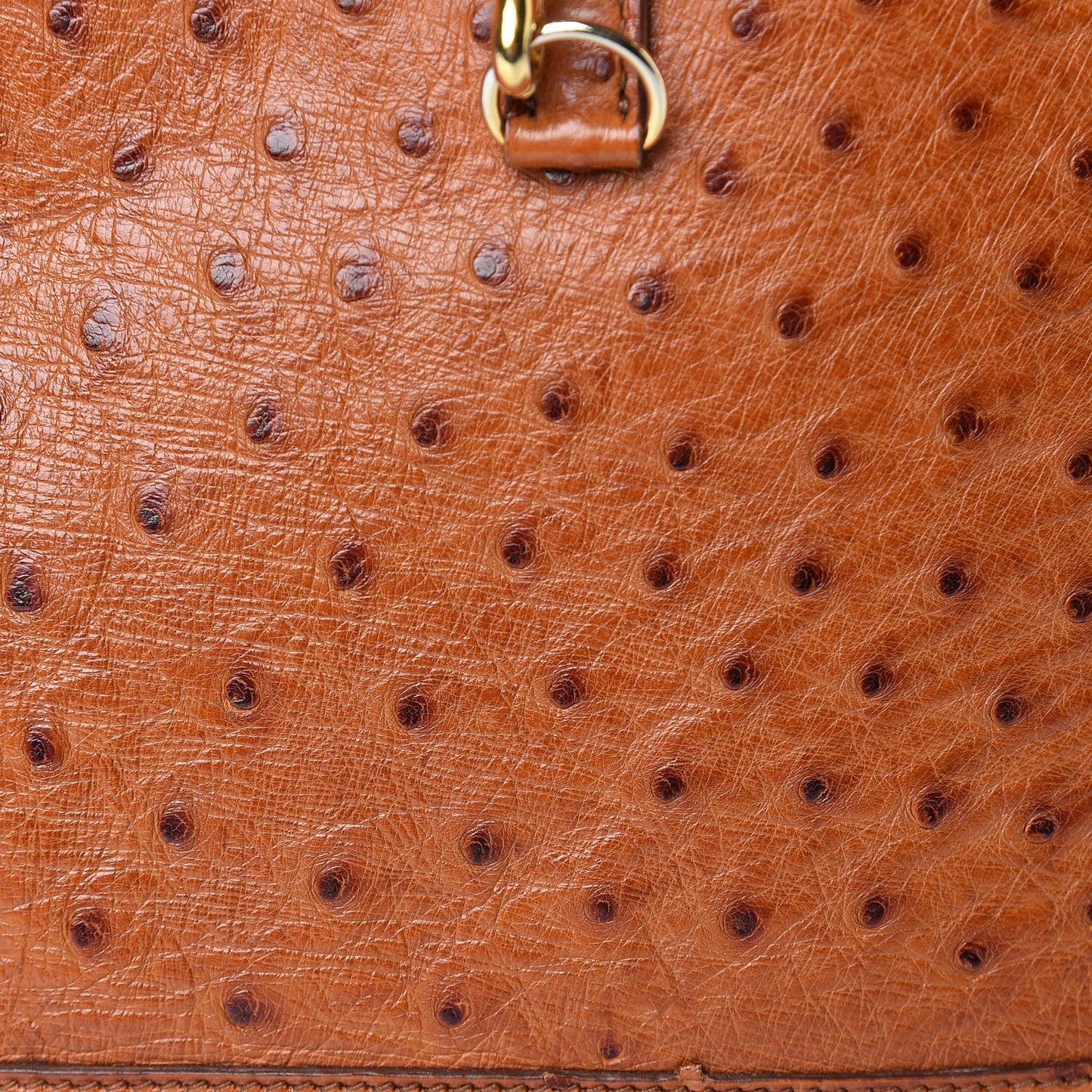 Ostrich Trim II 31 Cognac