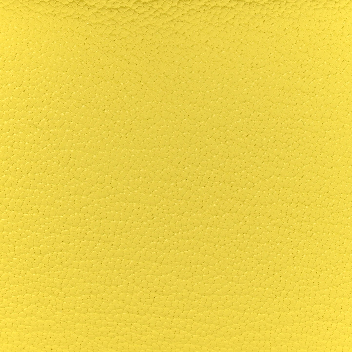 Chevre Mysore Horseshoe Mini Kelly Sellier 20 Lime Gris Perle