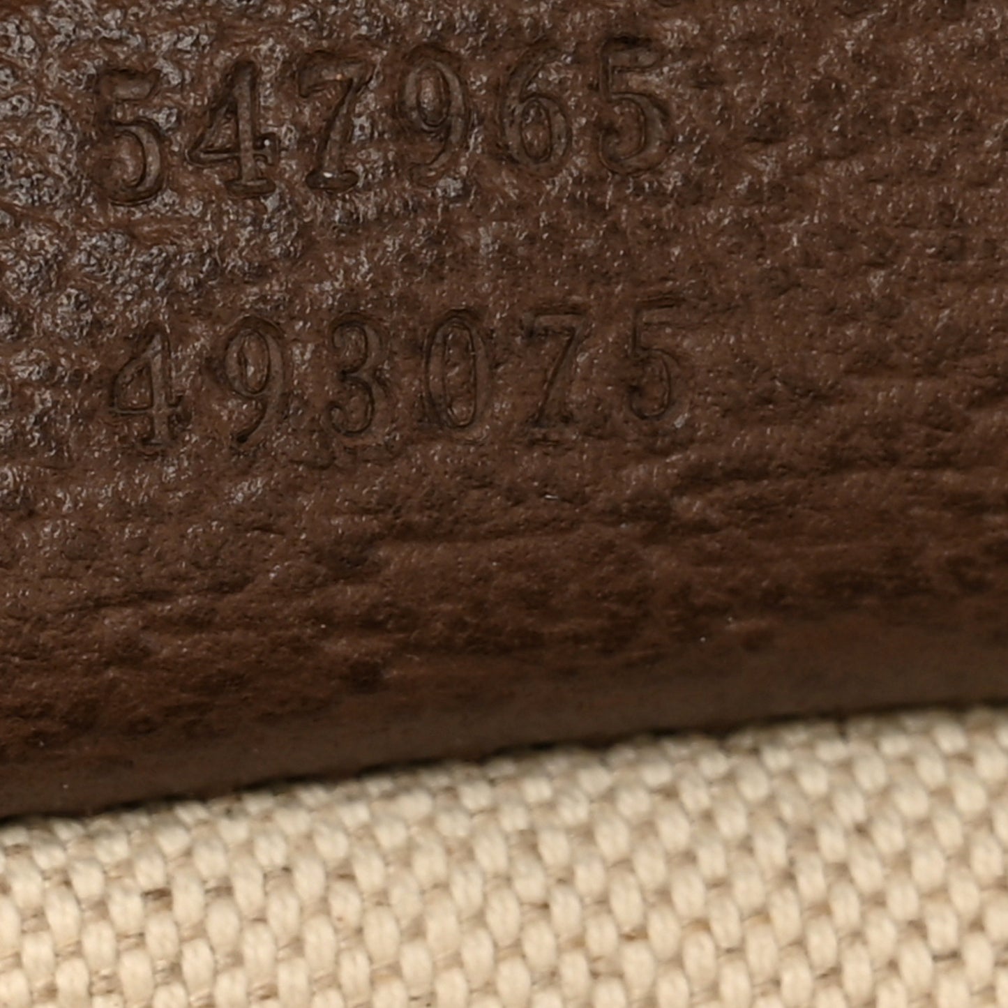 GG Supreme Monogram Calfskin Web Small Ophidia Day Backpack Beige Ebony New Acero