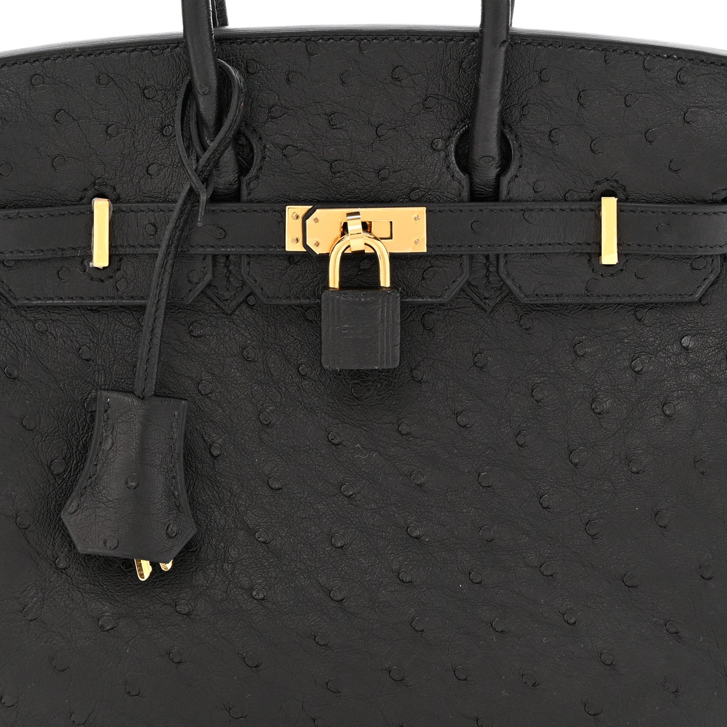 Ostrich Birkin 25 Black