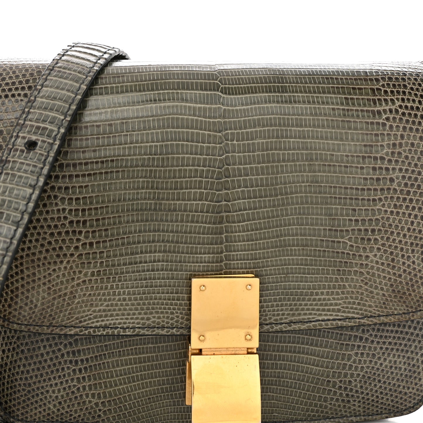 Lizard Small Classic Box Flap Bag Green