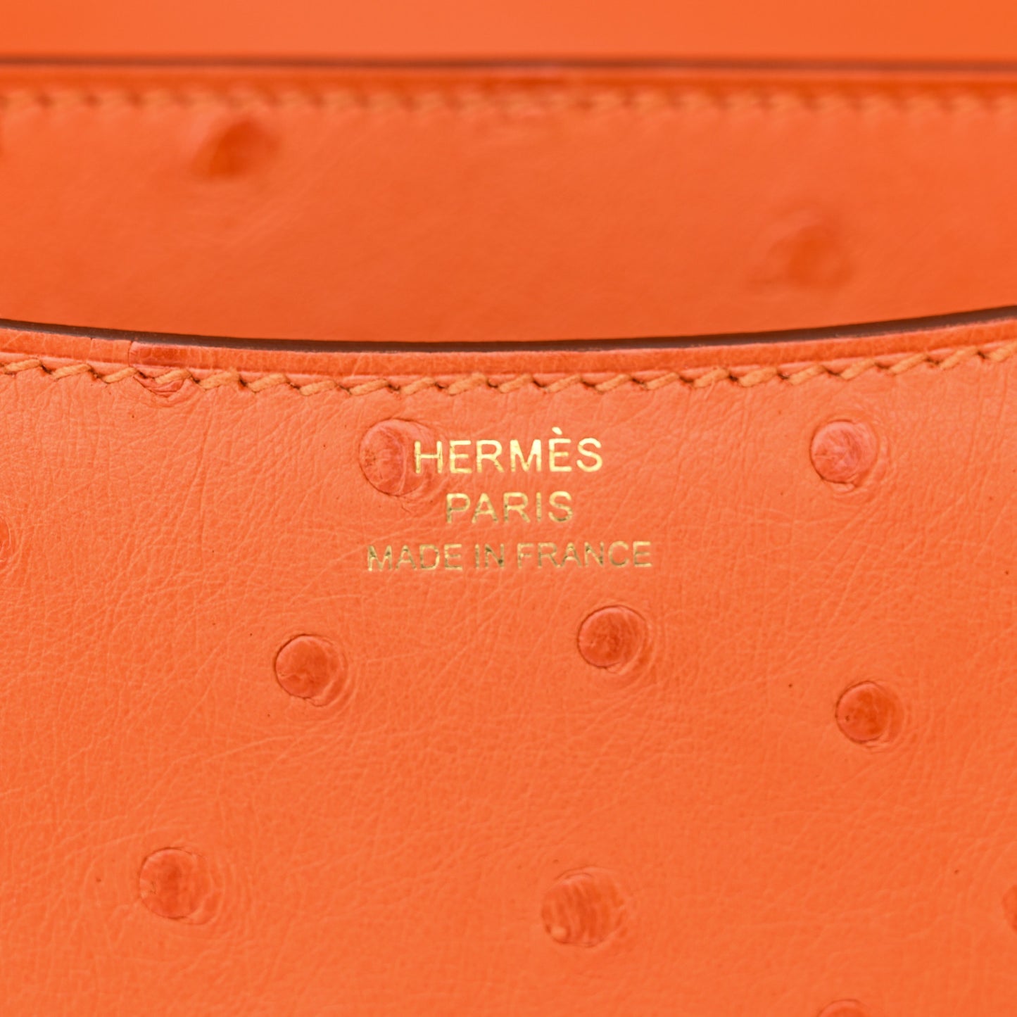 Ostrich Constance 18 Tangerine