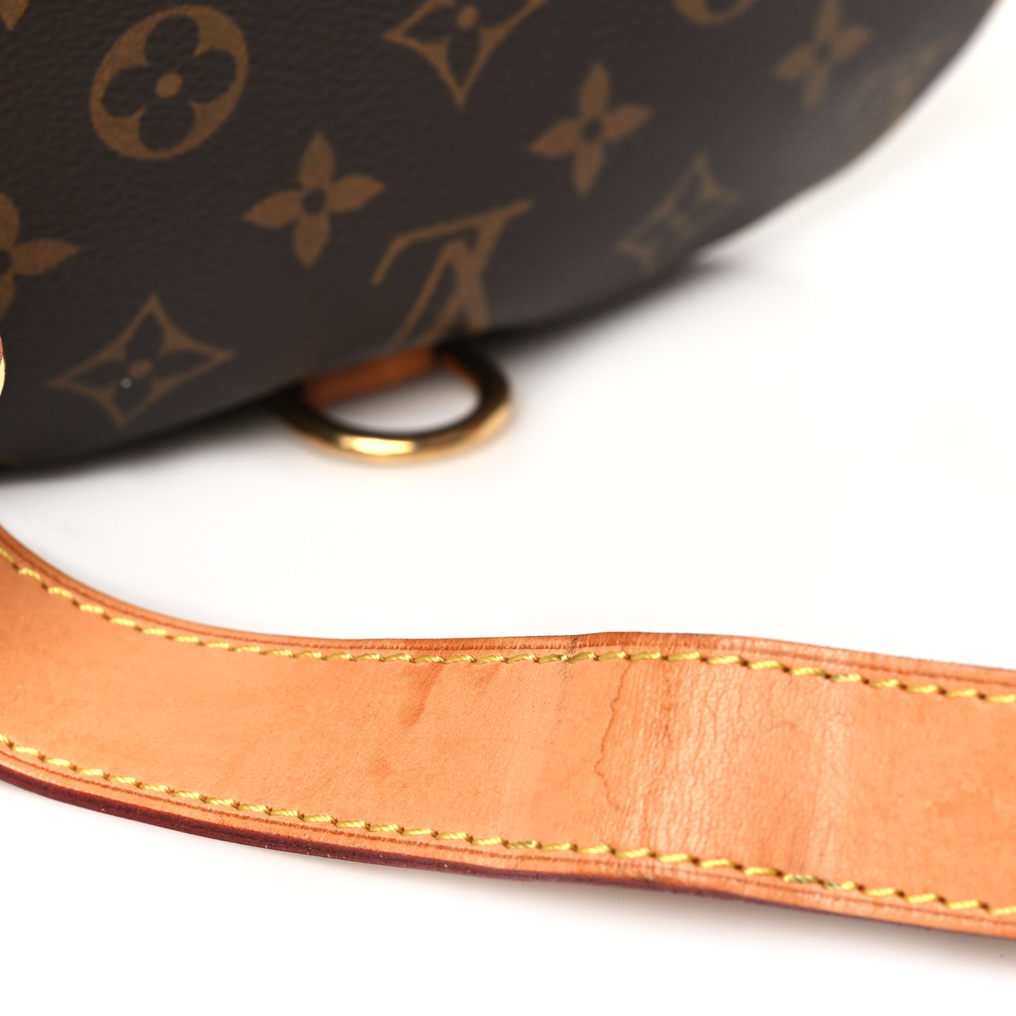Monogram Bumbag
