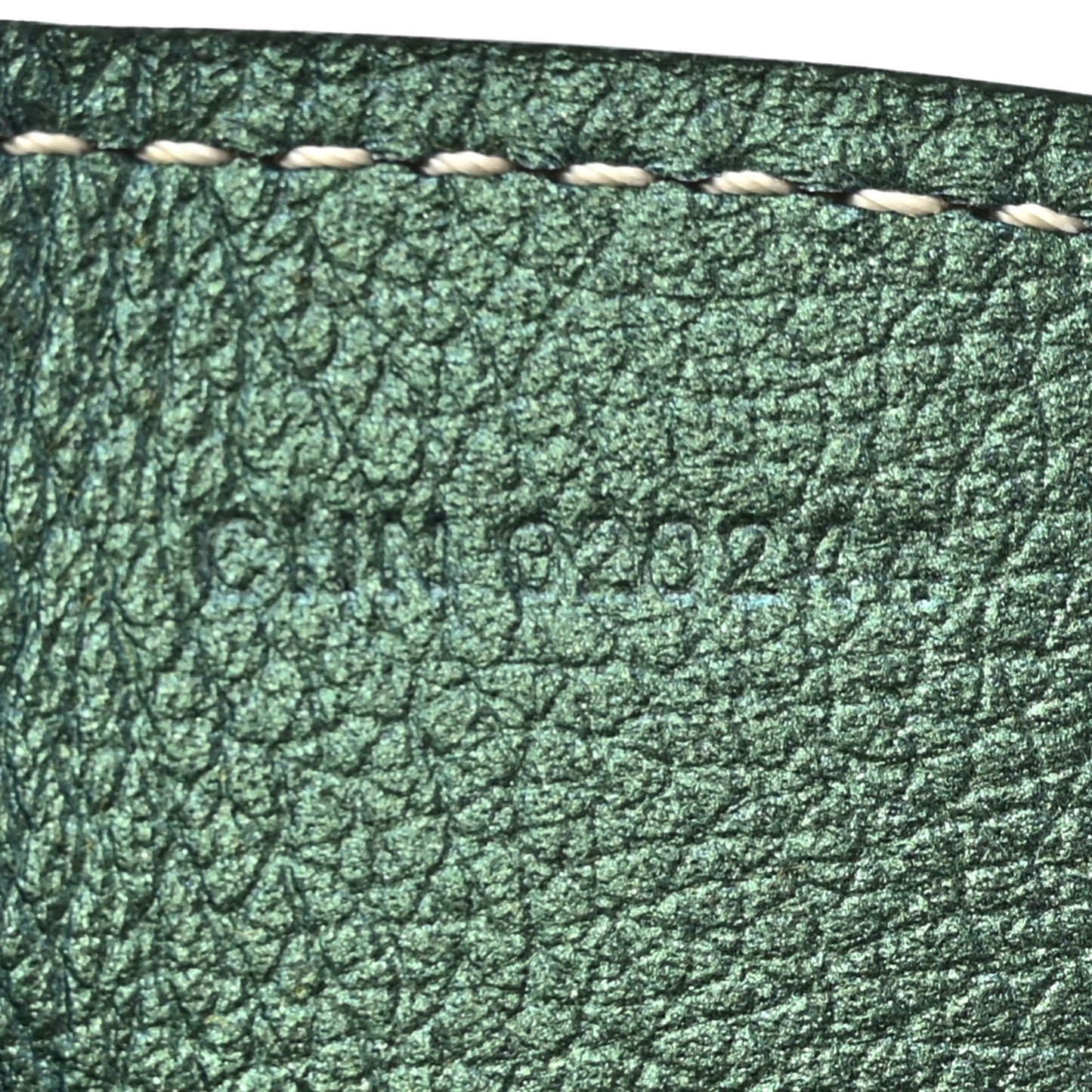 Iridescent Goyardine Saint Louis PM Pearly Green
