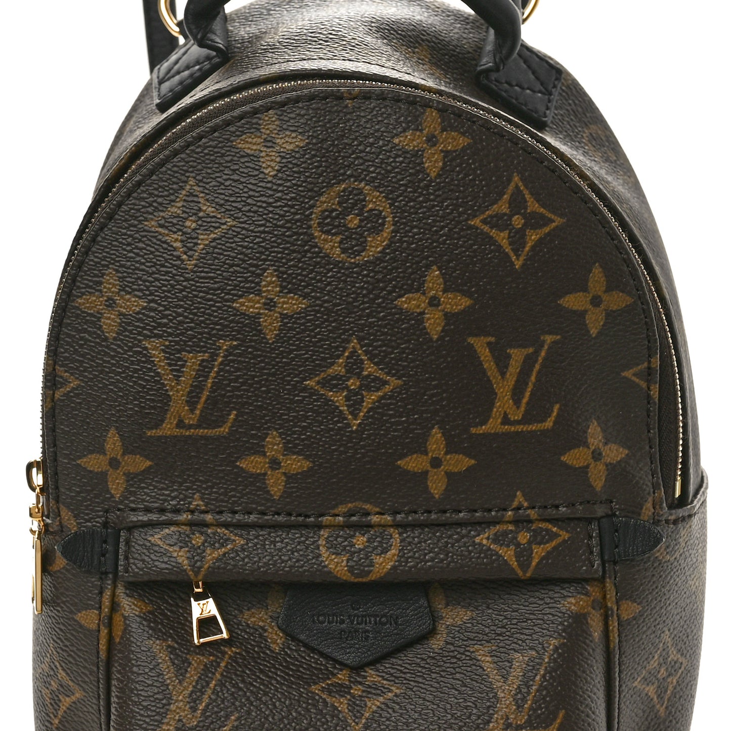 Monogram Palm Springs Backpack Mini
