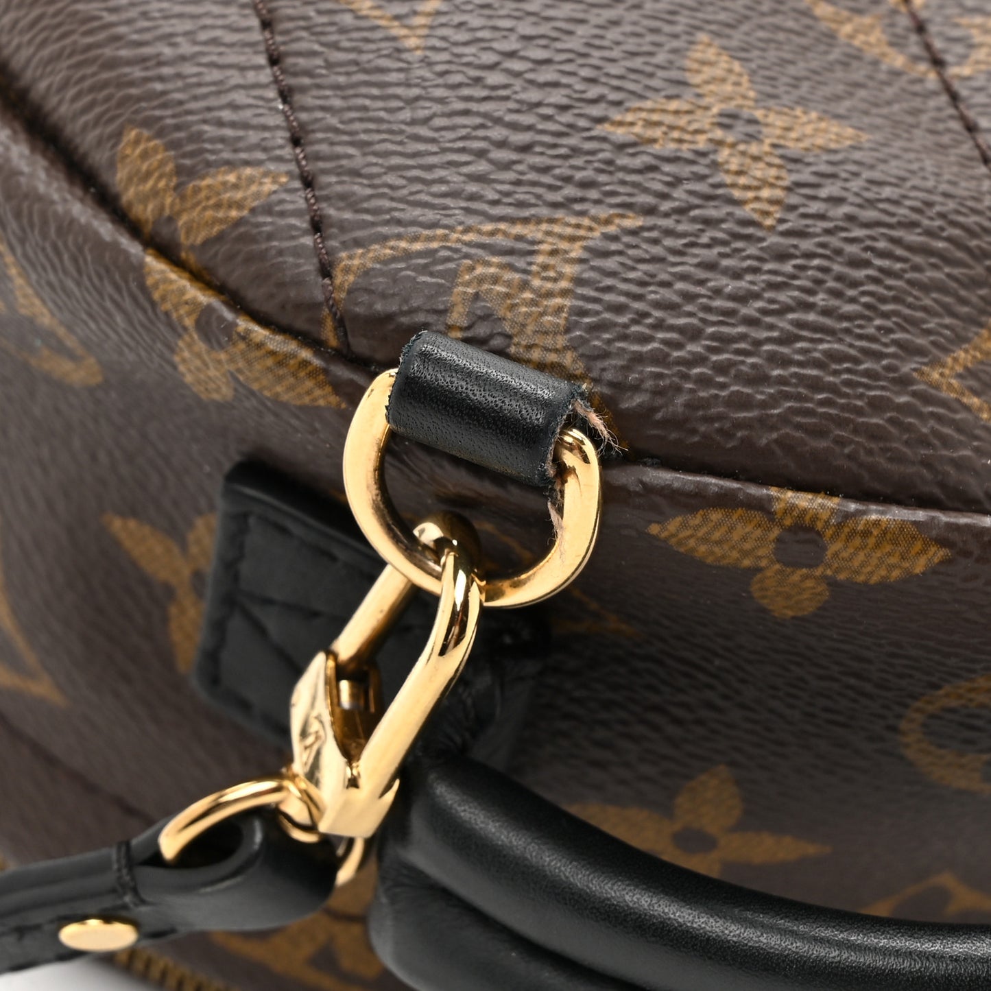 Monogram Palm Springs Backpack Mini