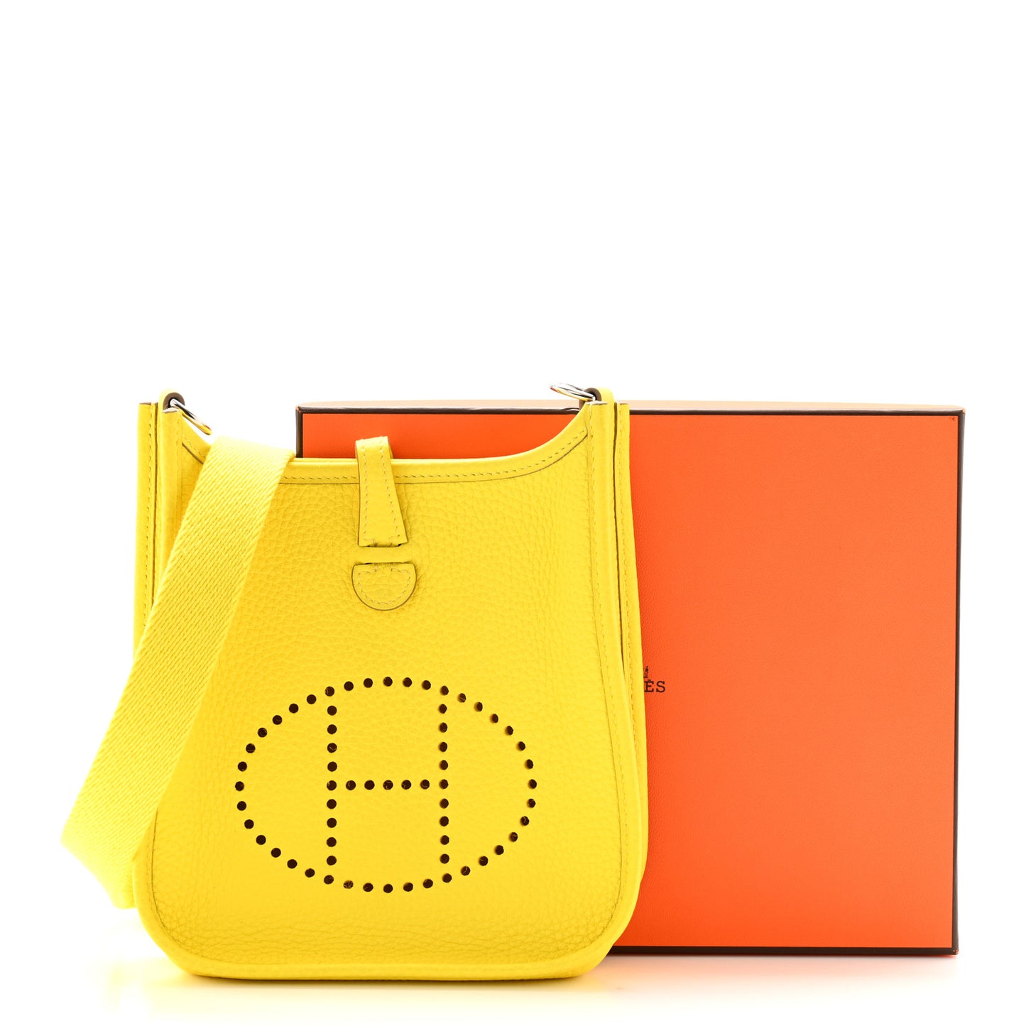 Taurillon Clemence Evelyne TPM Lime