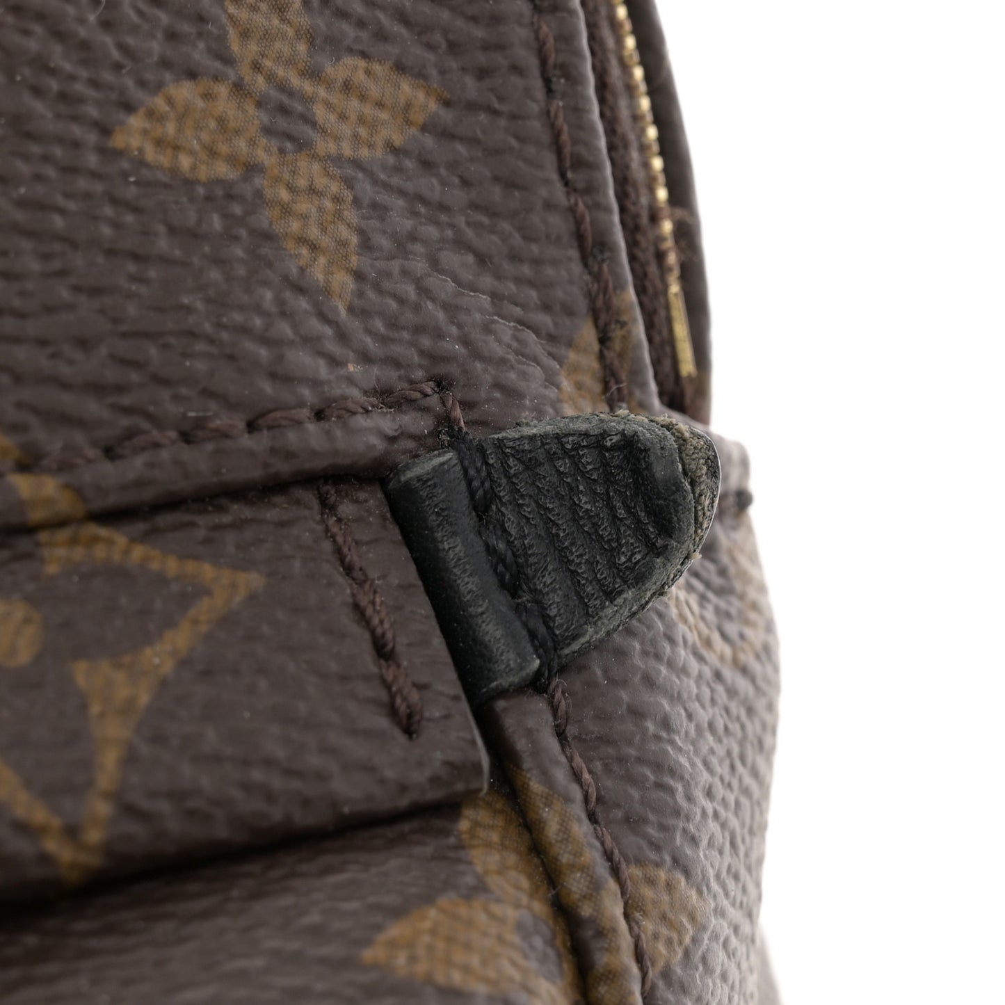 Monogram Palm Springs Backpack Mini