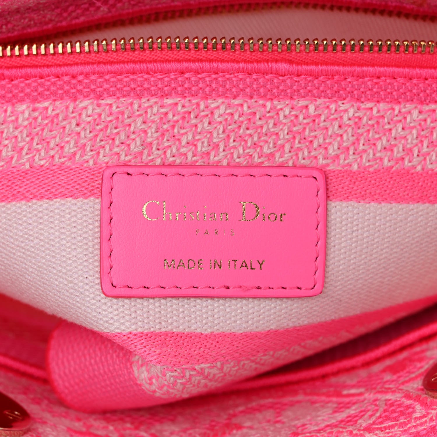 Christian Dior Canvas Toile De Jouy Reverse Embroidered Medium Lady D-Lite Fluorescent Pink 6 of 11