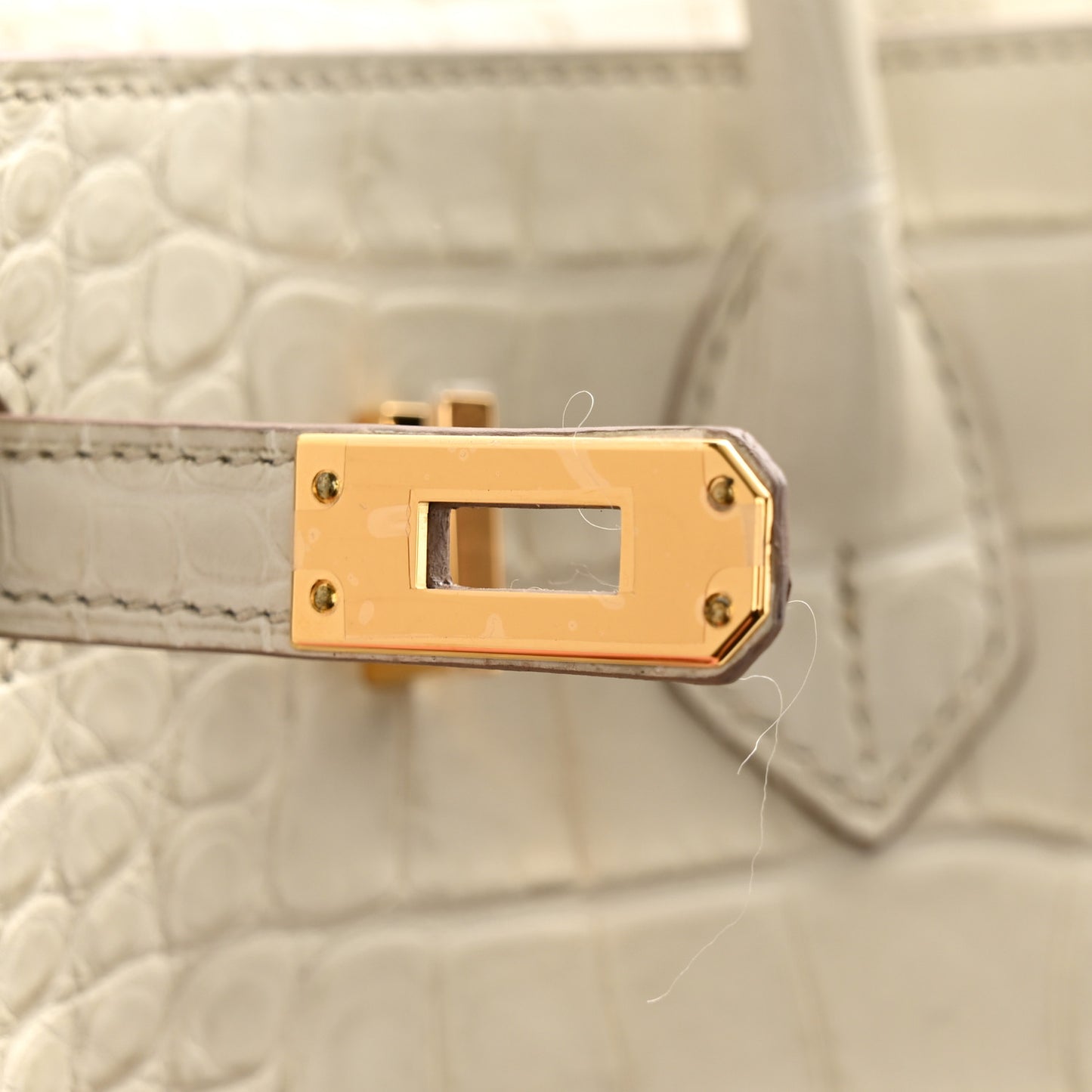 Matte Alligator Birkin 25 Beton