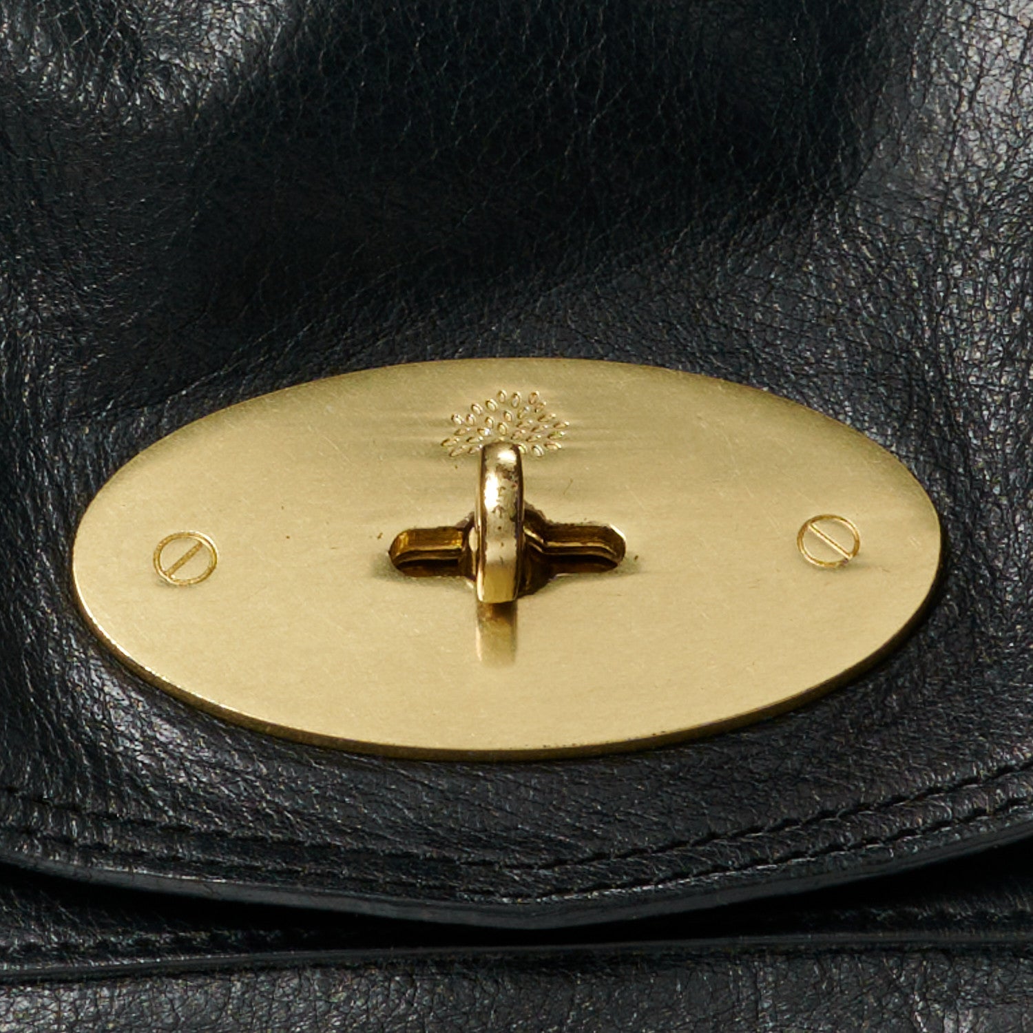 Mulberry Polished Buffalo Medium Alexa Black 9 of 12