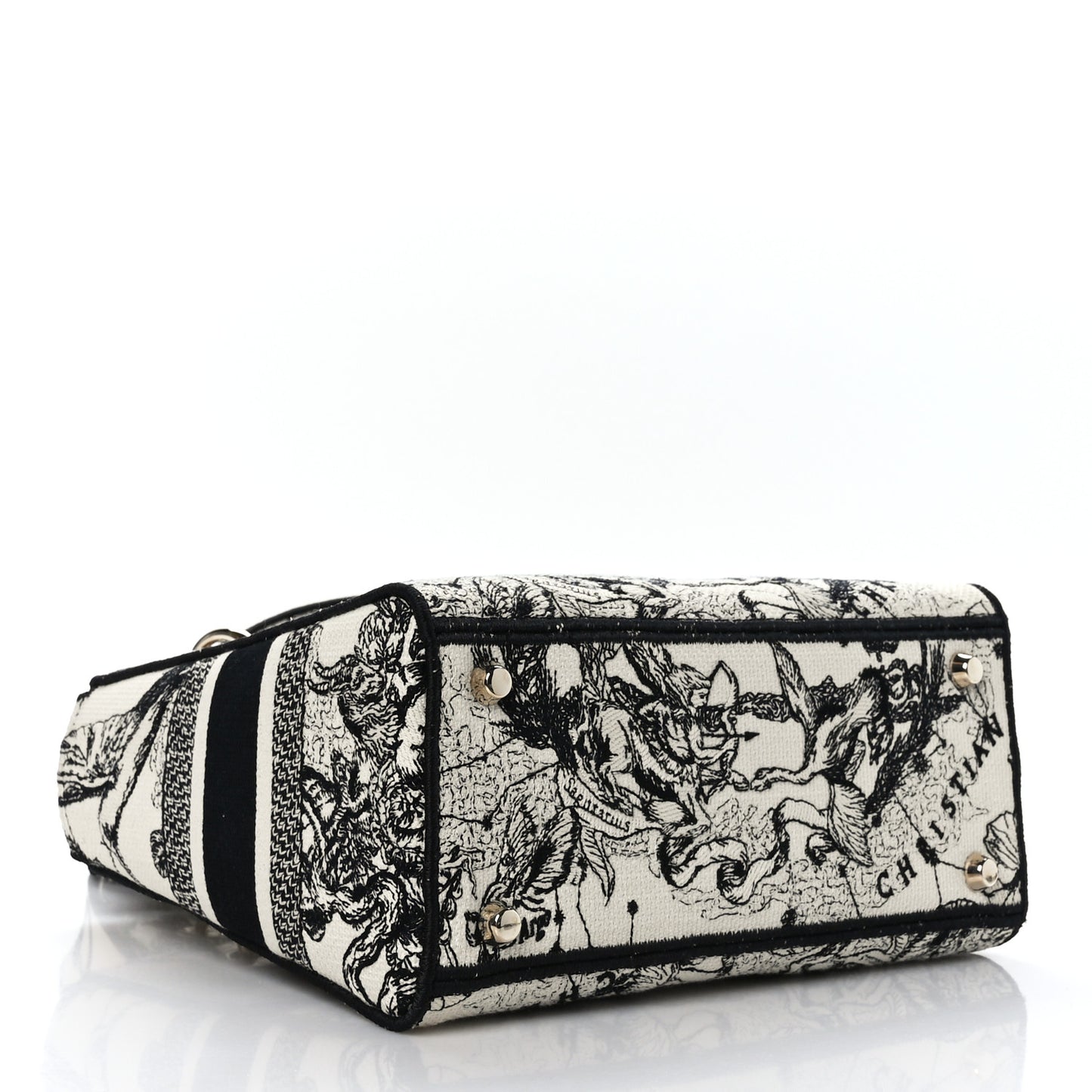 Canvas Embroidered Zodiac Toile De Jouy Medium Lady D-Lite Latte