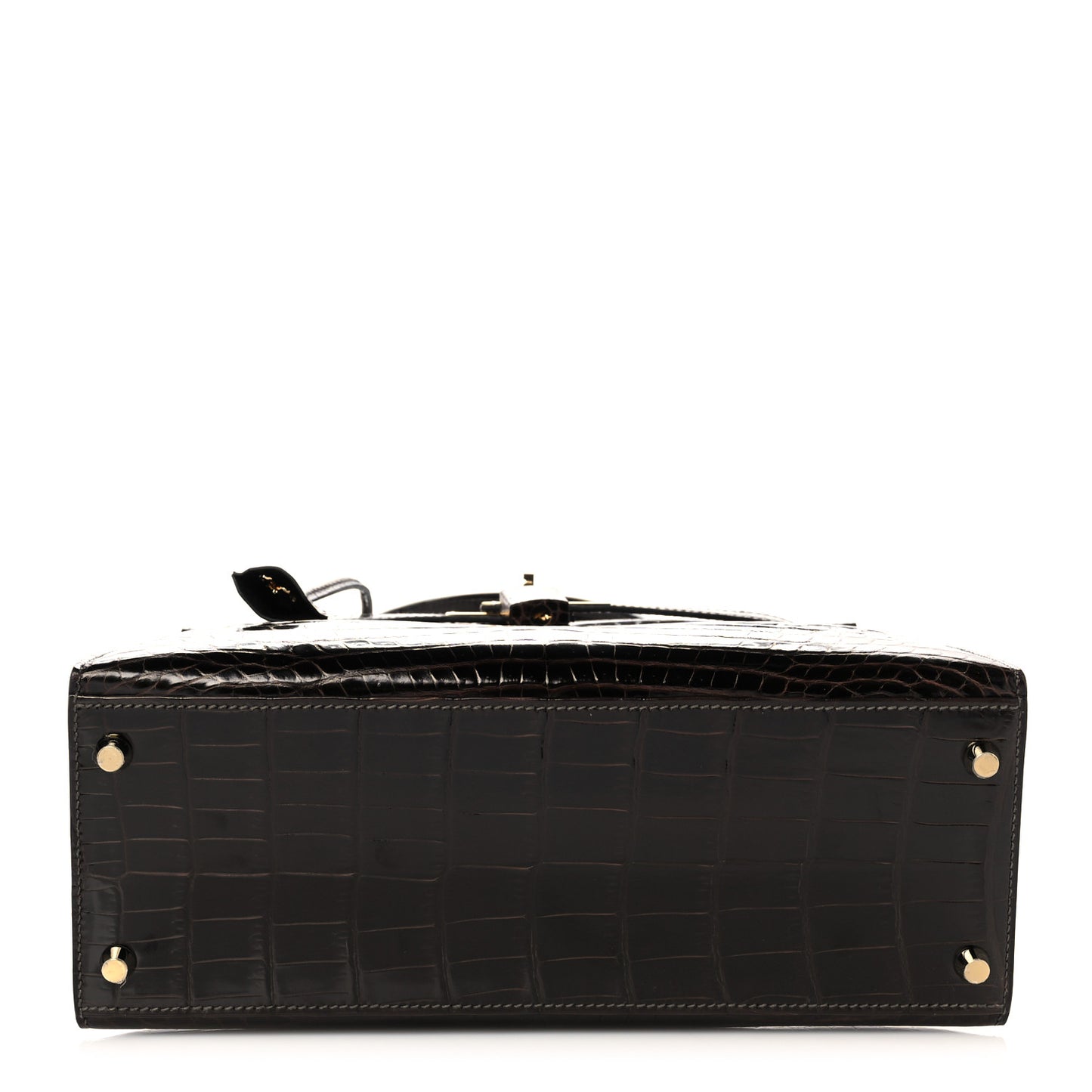 Shiny Niloticus Crocodile Kelly Sellier 28 Macassar