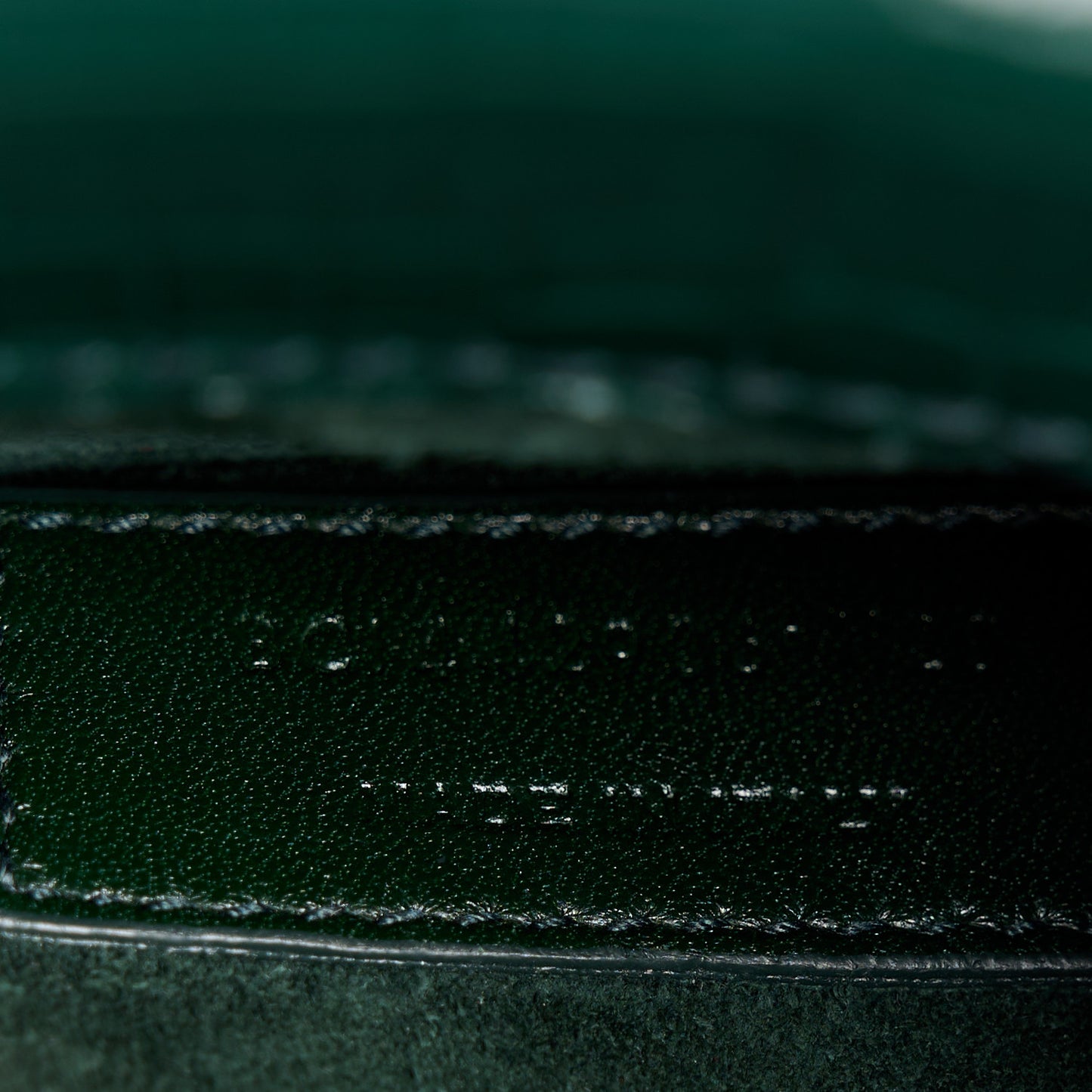 Calfskin Crocodile Embossed Medium Monogram Sunset Dark Mint